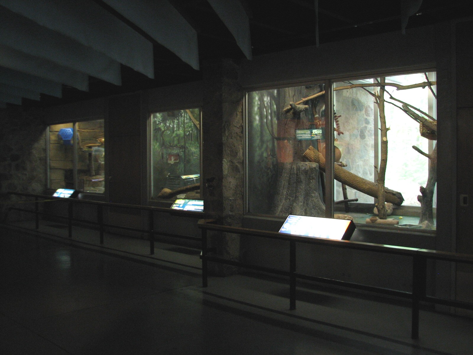 Small Mammals Building - Animals of the Day