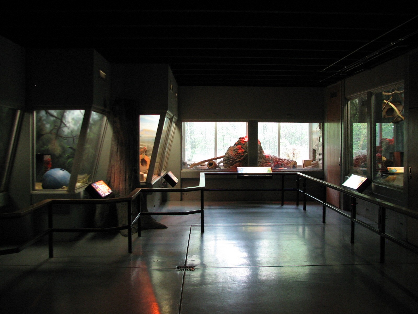 Small Mammals Building - Animals of the Day