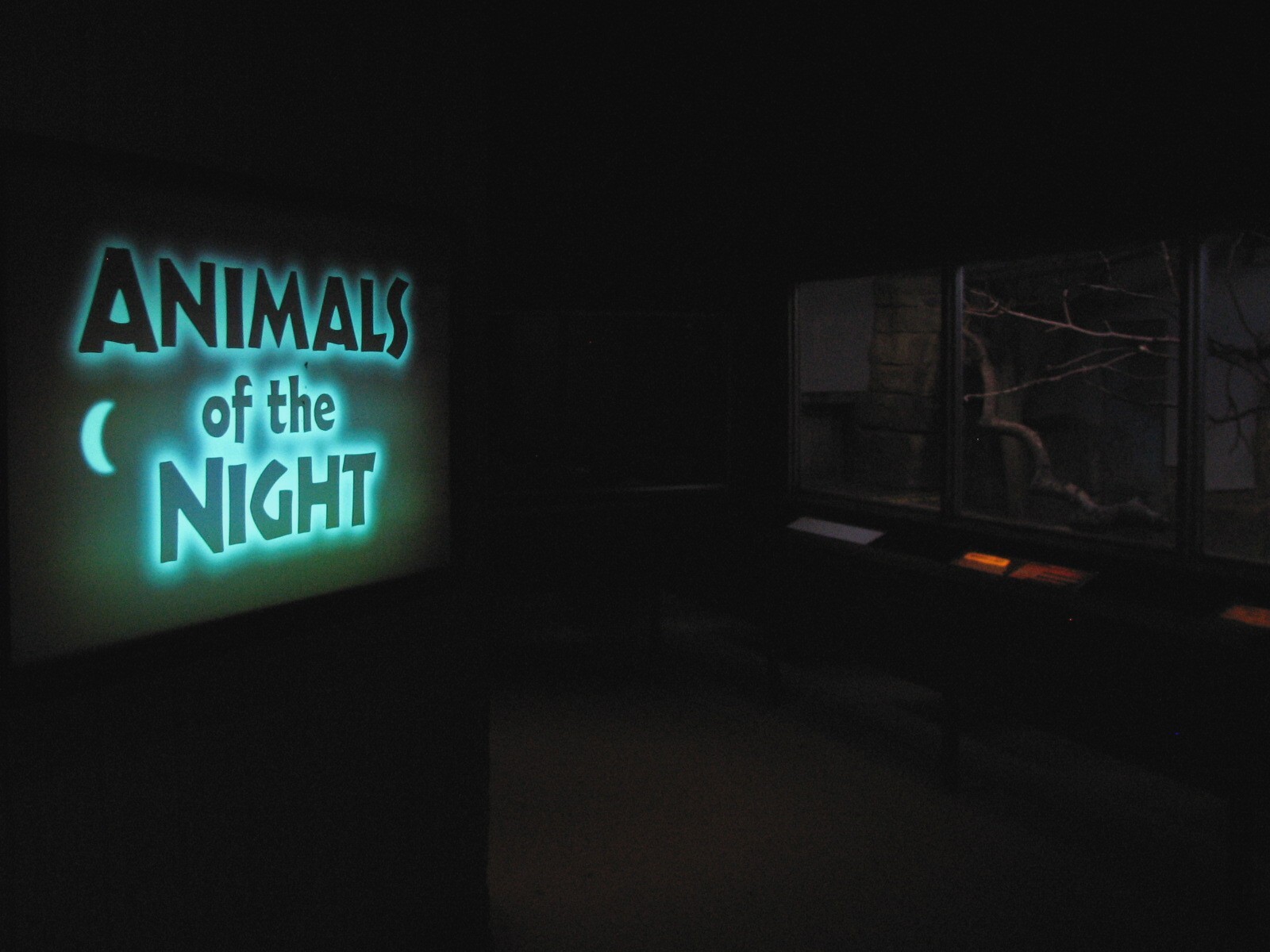 Small Mammals Building - Animals of the Night