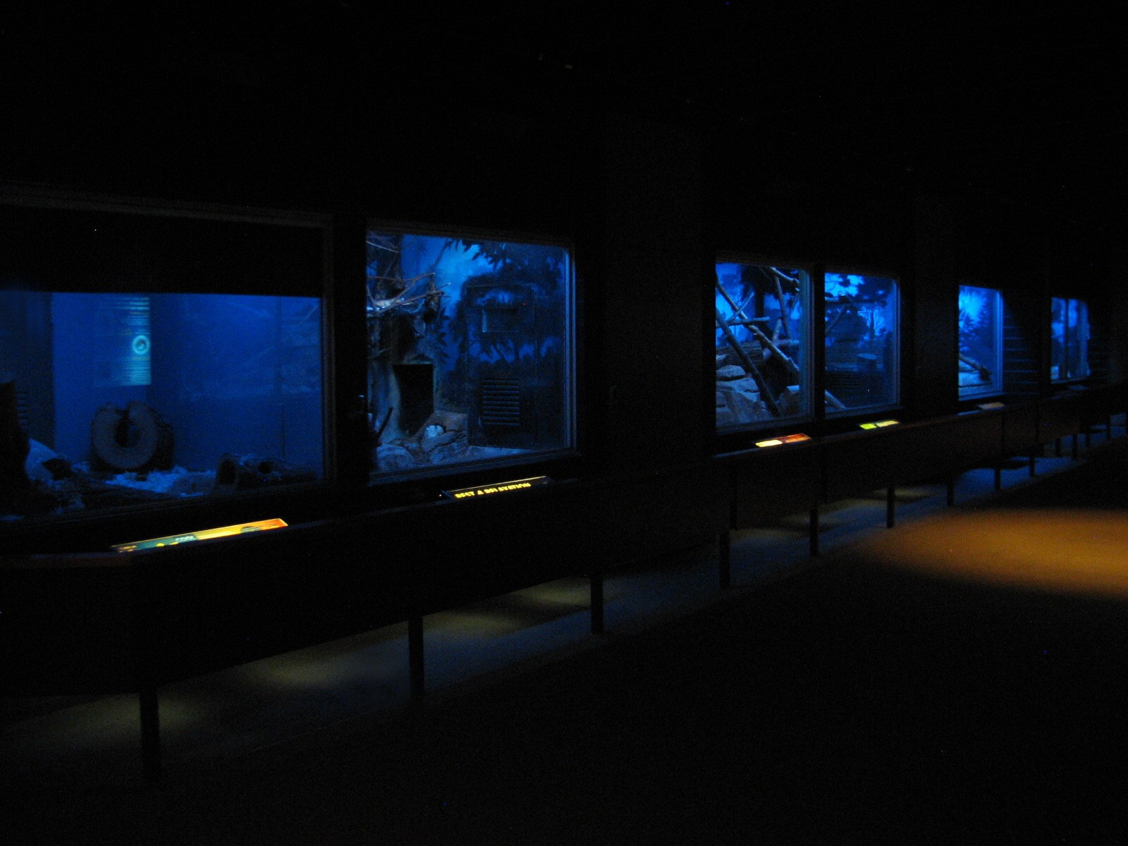 Small Mammals Building - Animals of the Night