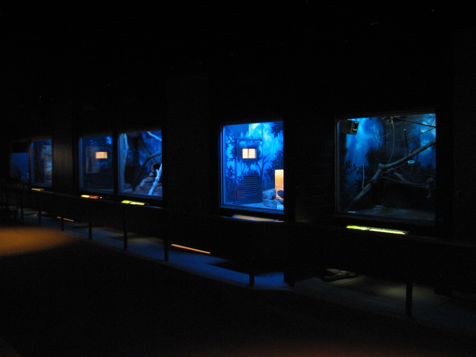 Small Mammals Building - Animals of the Night