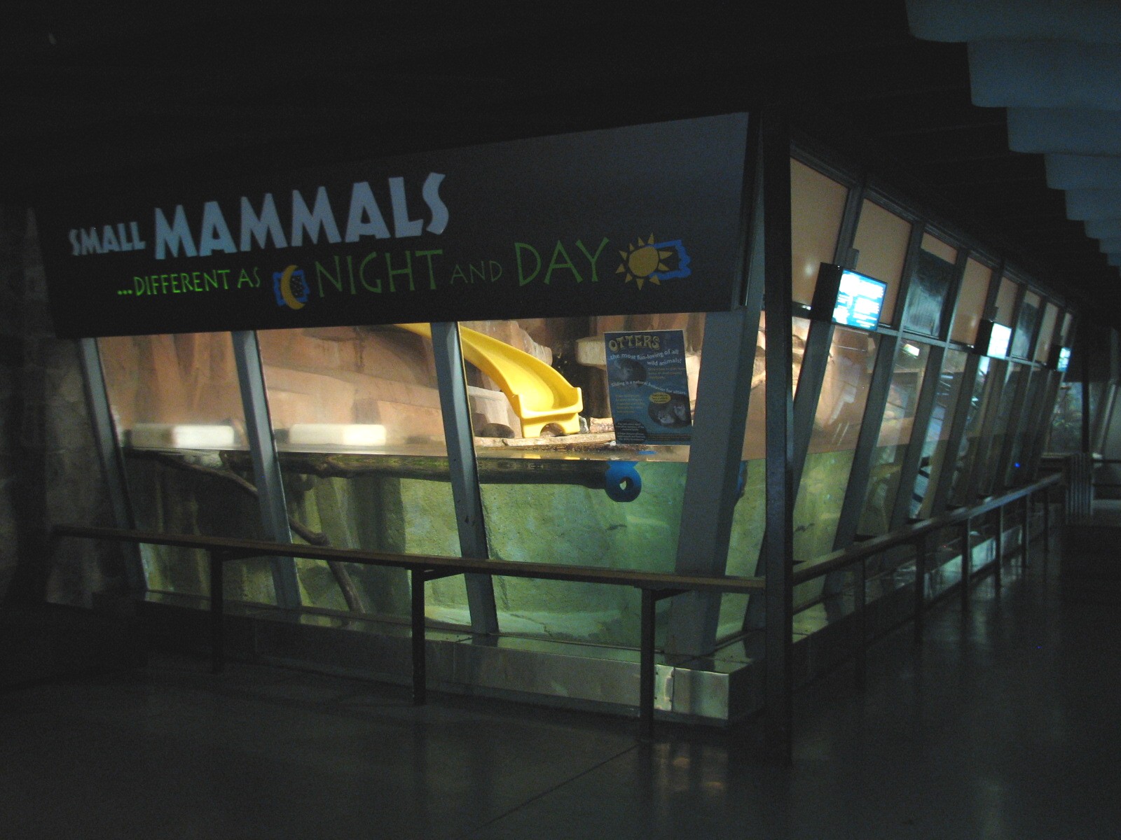 Small Mammals Building - North American River Otter Exhibit