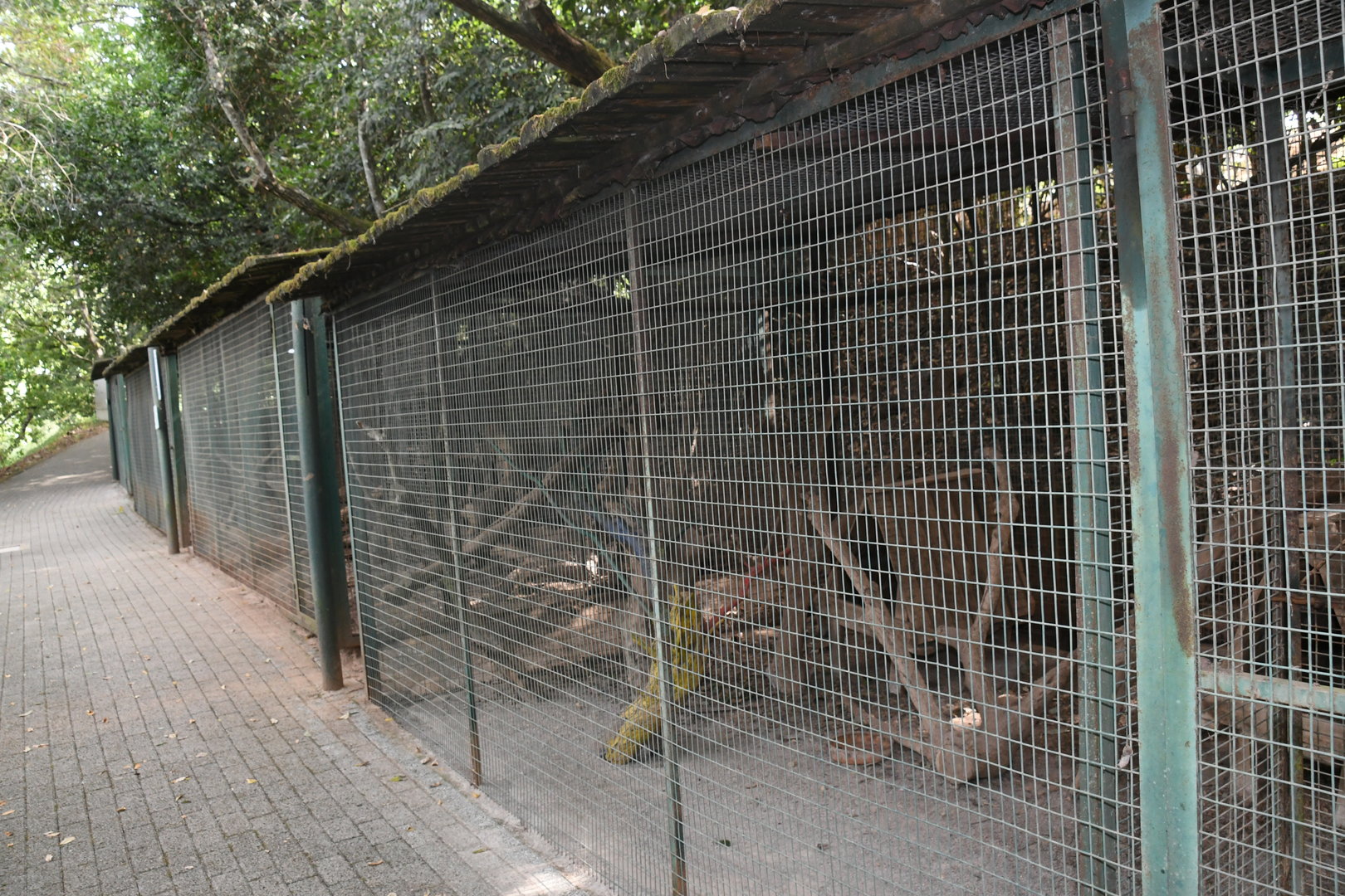 Small Mammals enclosures