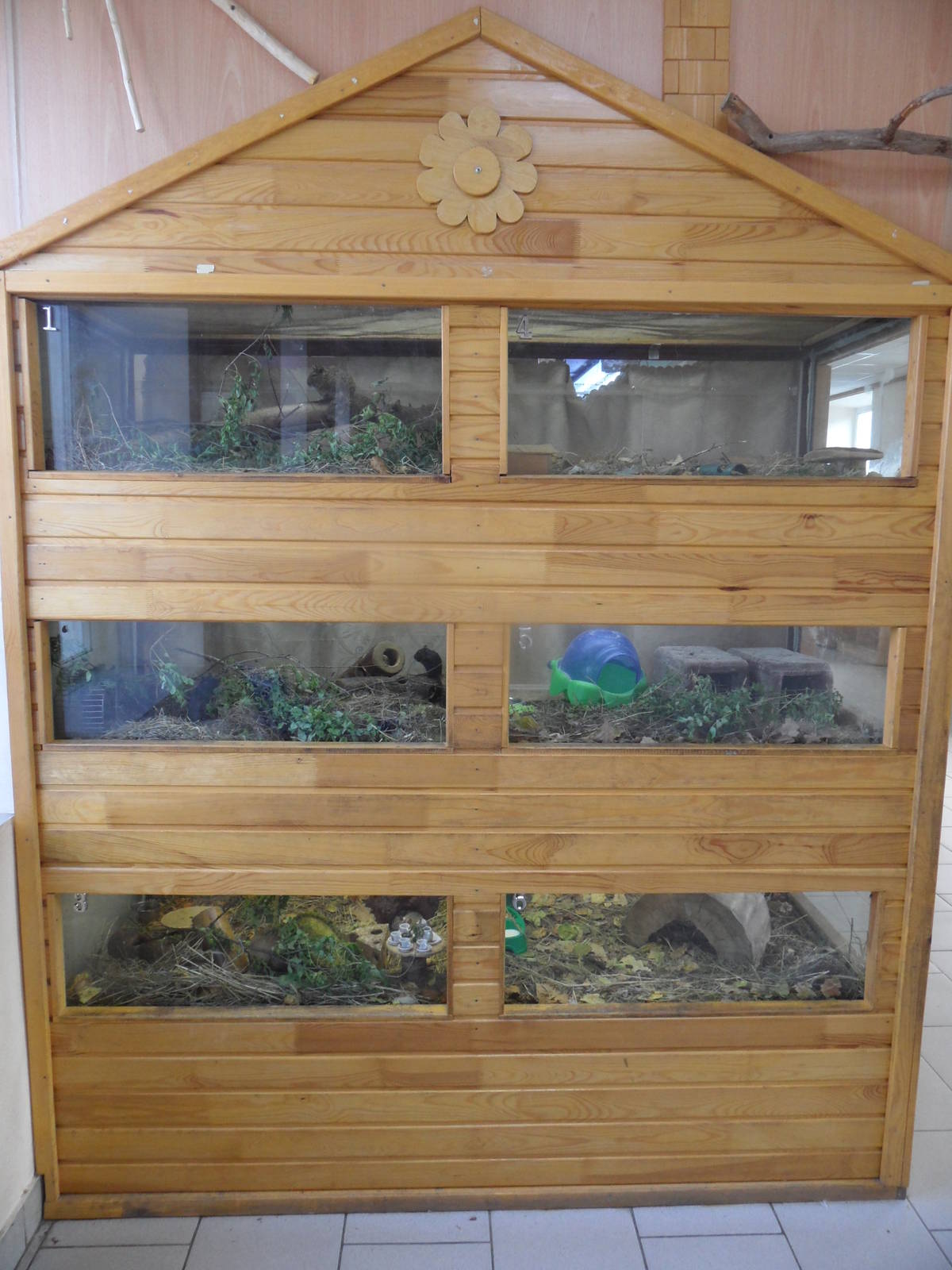 Small mammals exhibit