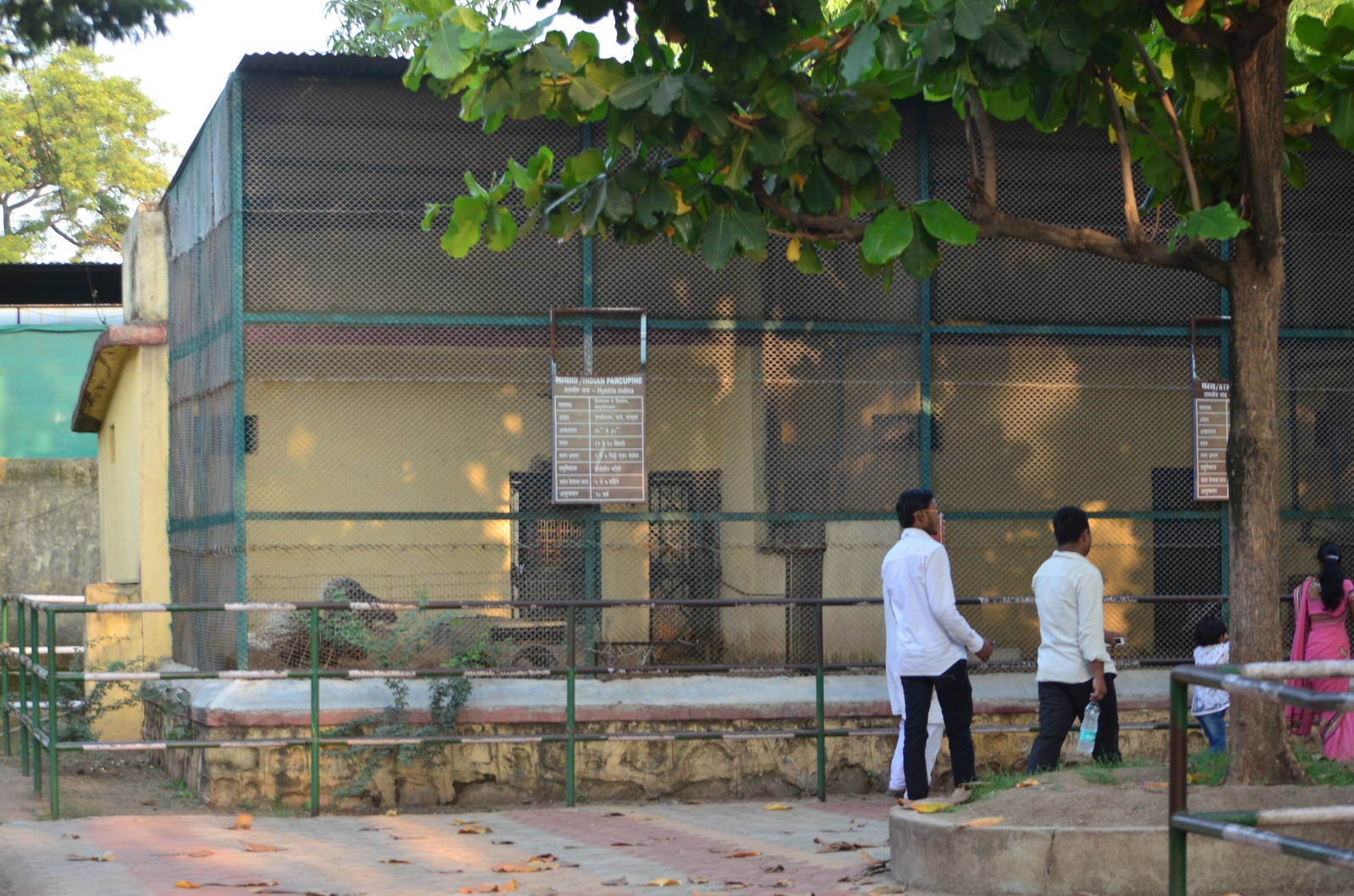 Small mammals exhibits