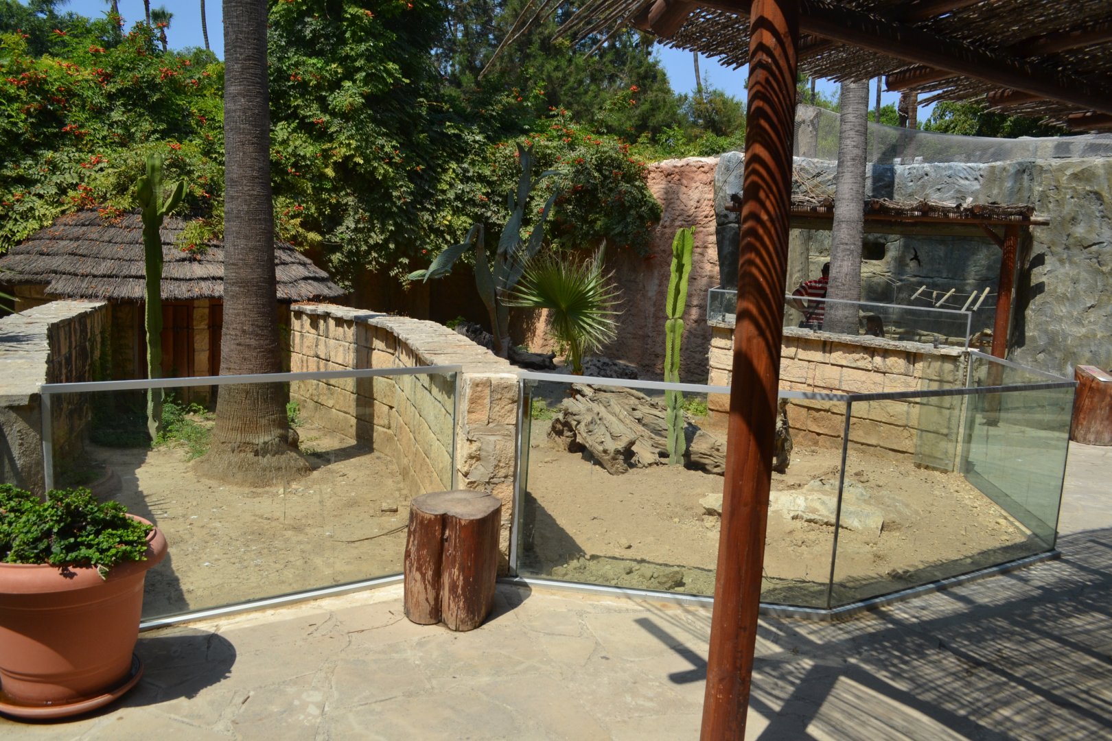 Small mammals exhibits