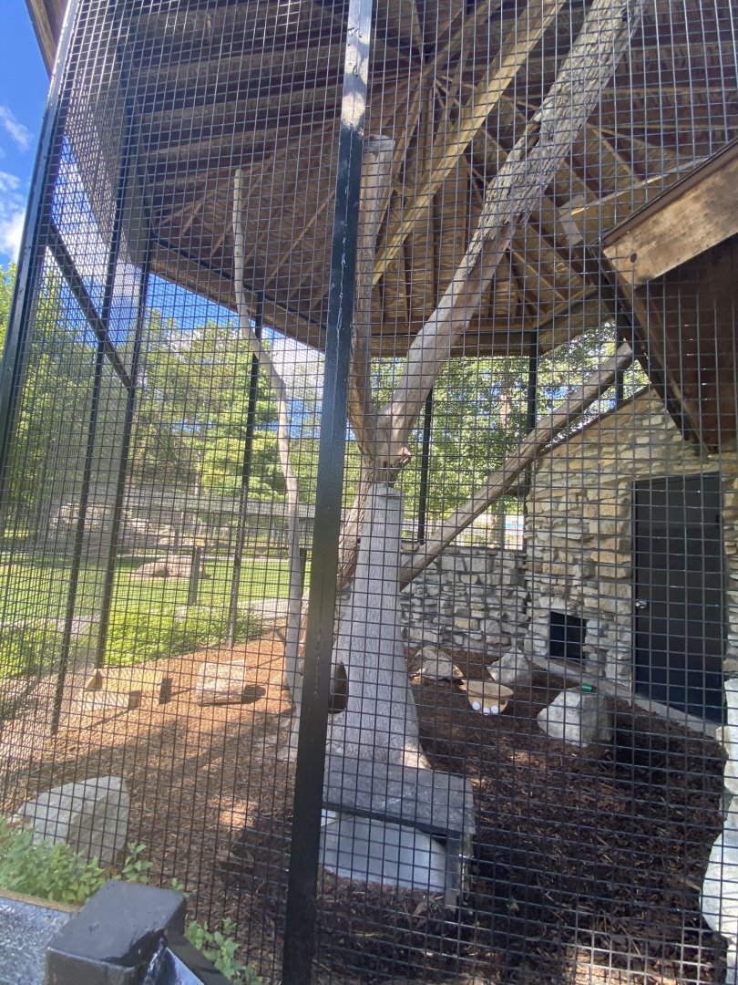 Small mammals- fisher exhibit