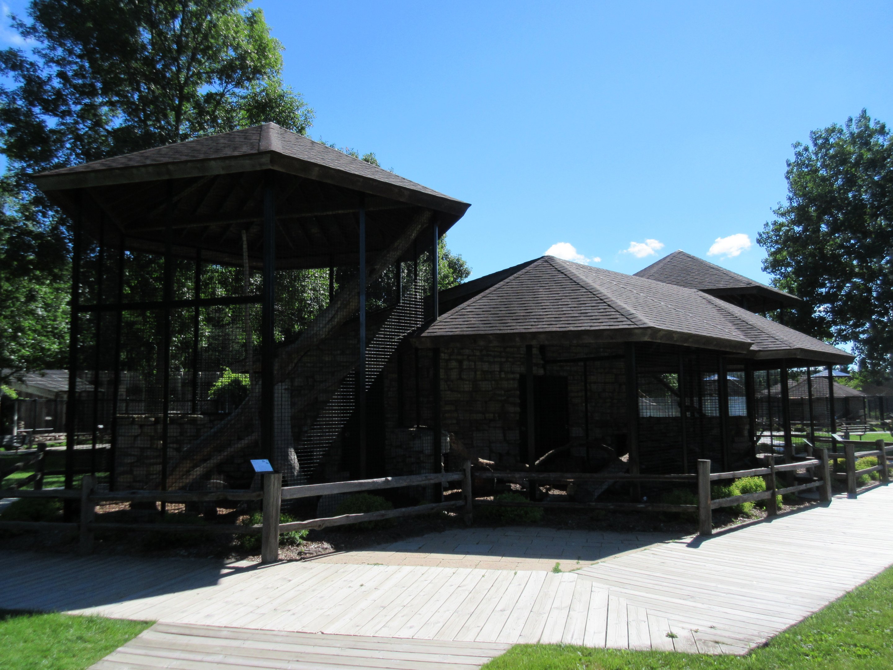 Small Mammals: Fisher/Grey Fox/Red Fox/Porcupine Exhibits