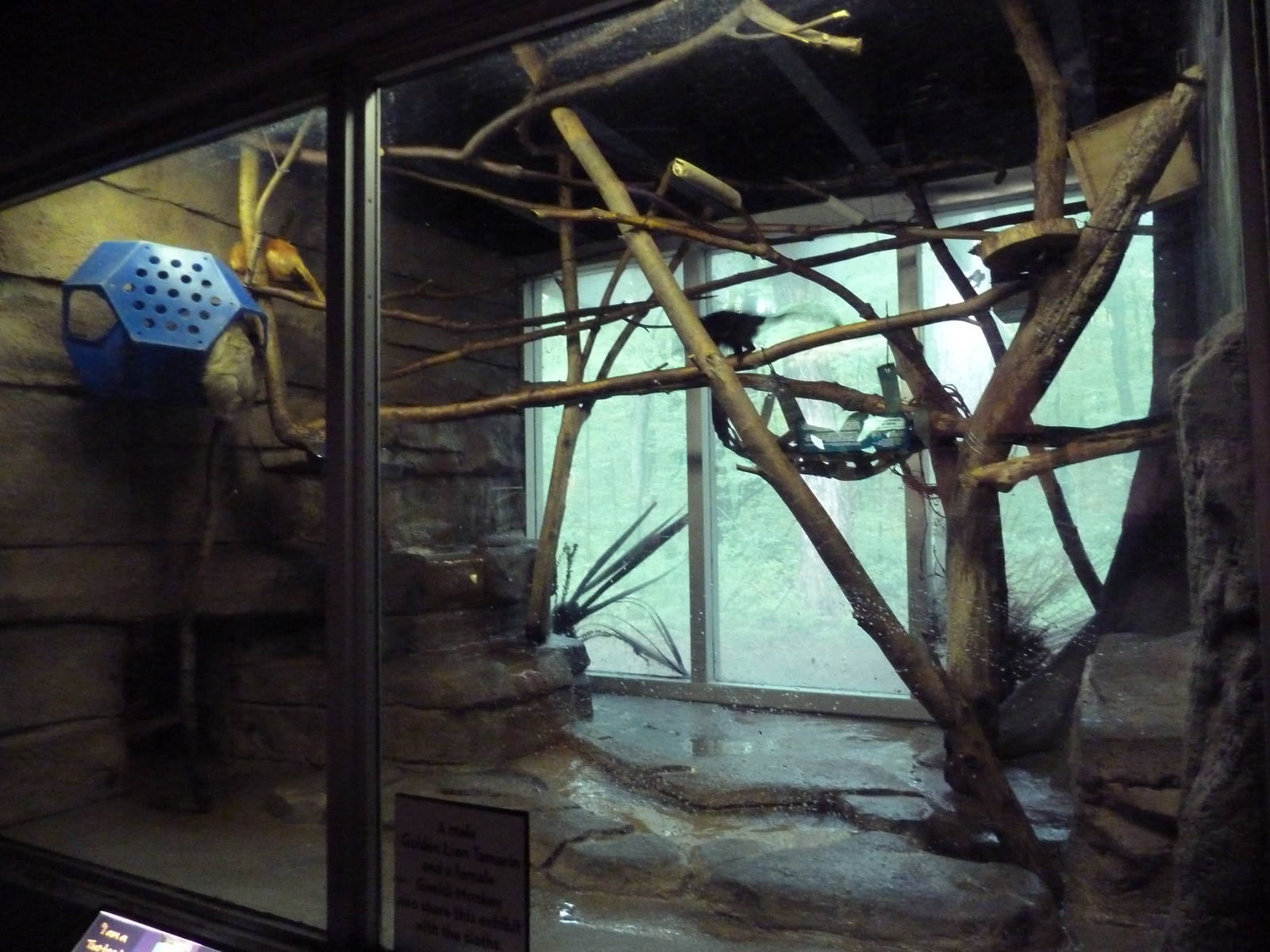 Small Mammals House - Golden Lion Tamarin/Goeldi's Monkey/Two-Toed Sloth Ex