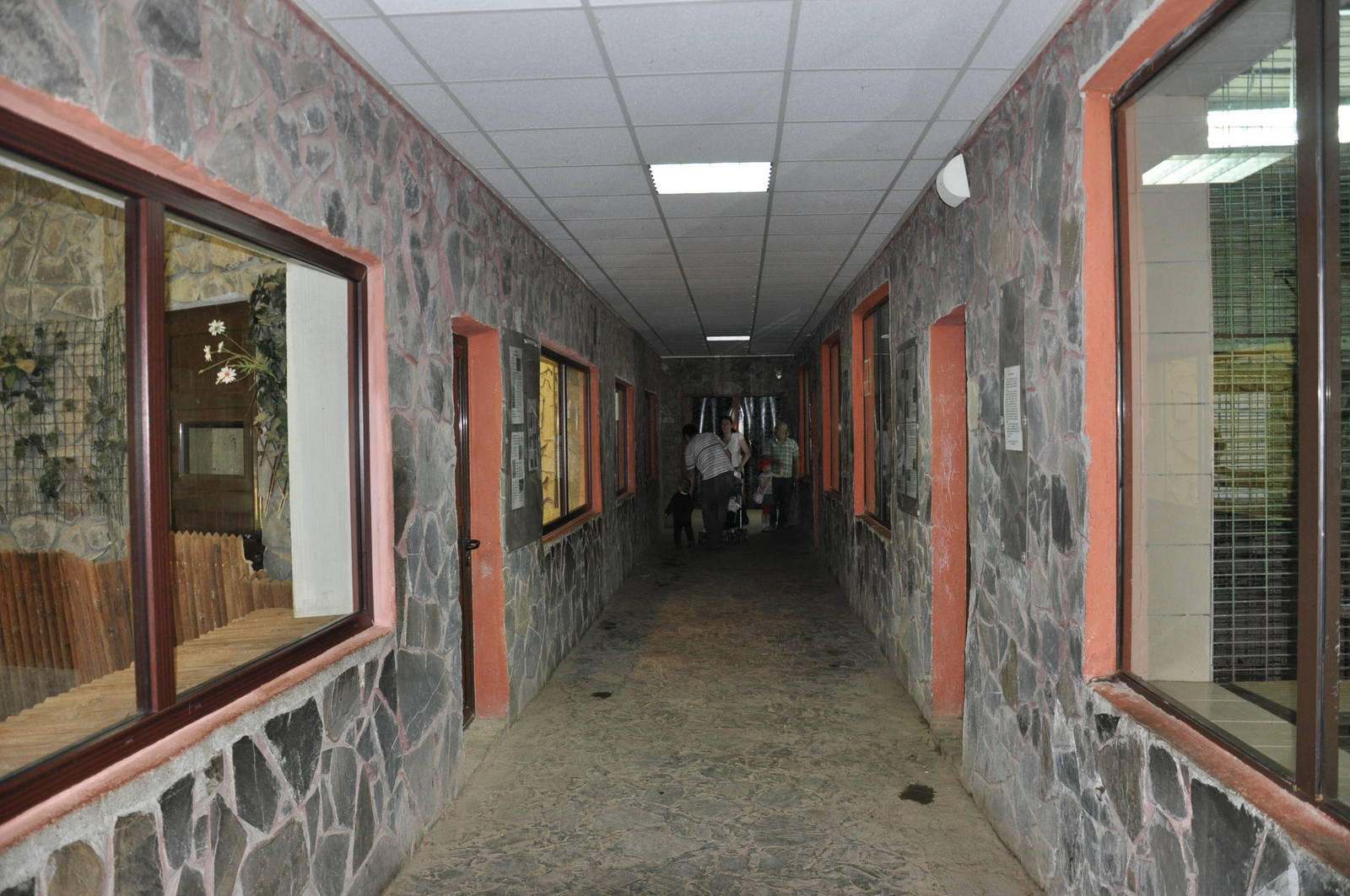 Small mammals House. Indoor view