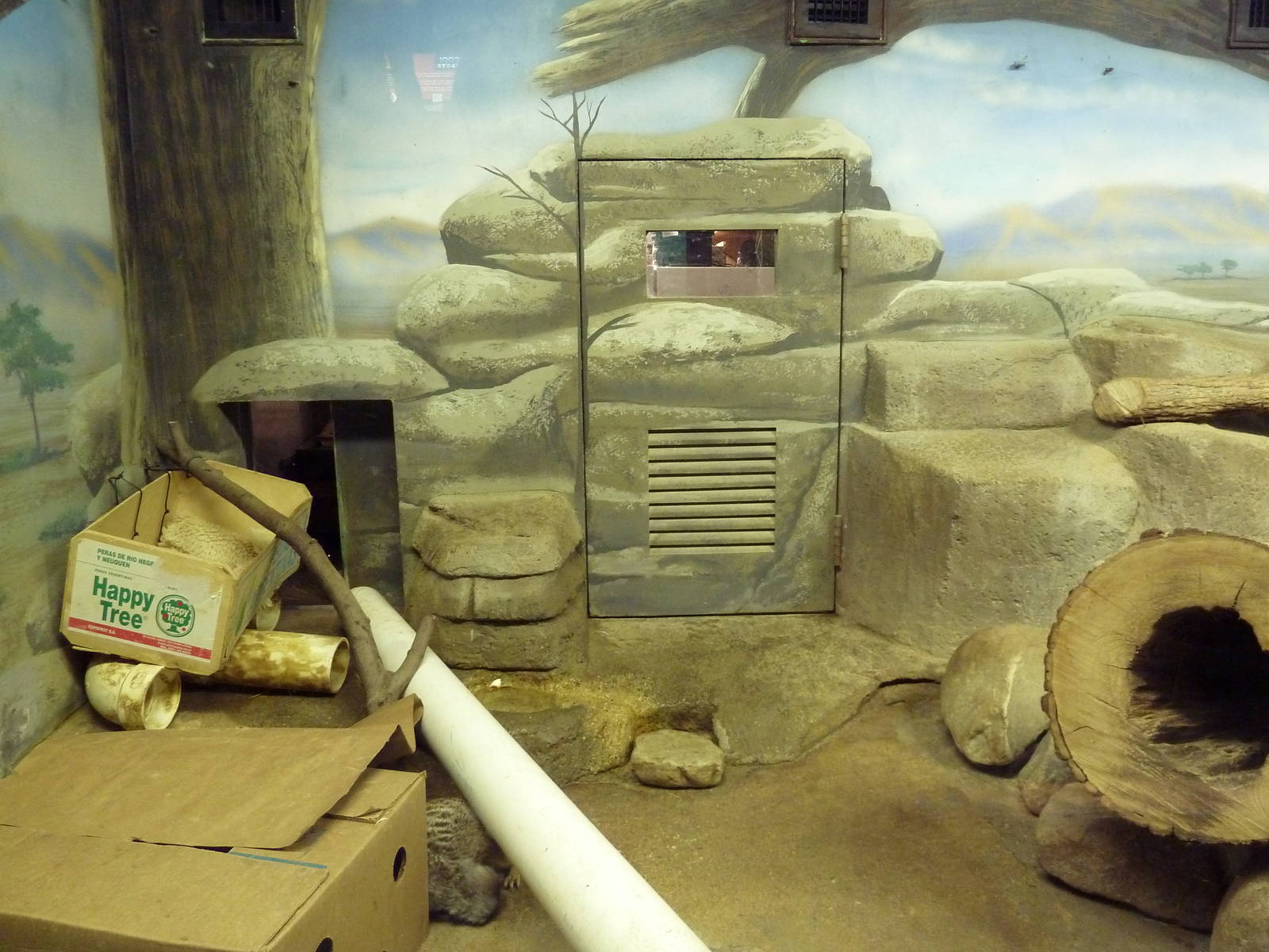 Small Mammals House - Meerkat Exhibit