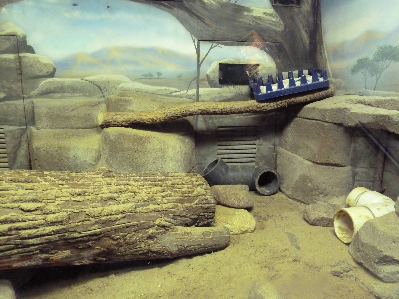 Small Mammals House - Meerkat Exhibit