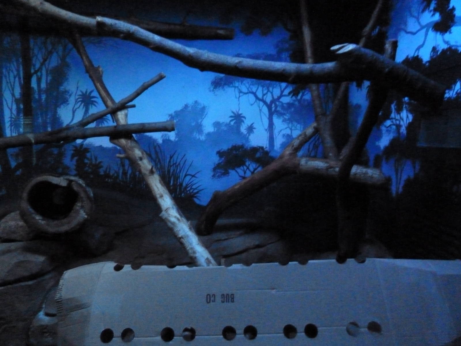 Small Mammals House - Nocturnal Section - Kinkajou Exhibit