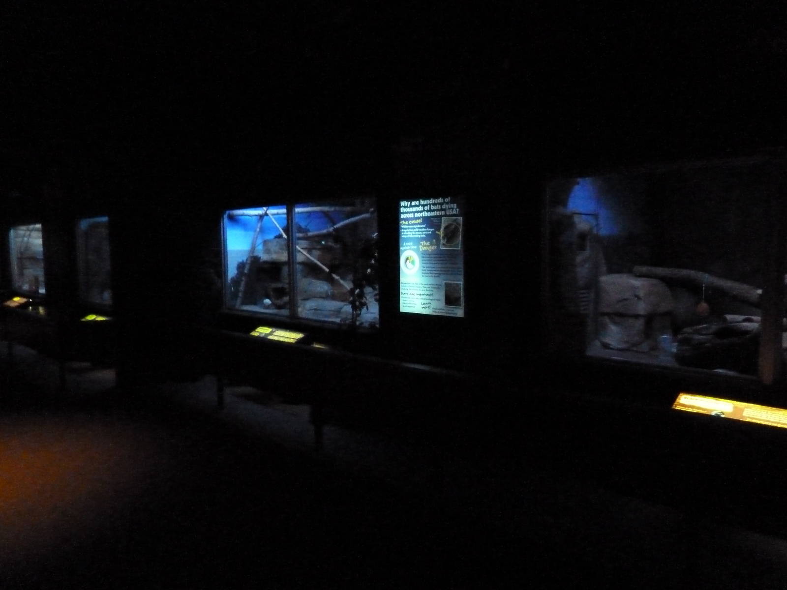 Small Mammals House - Nocturnal Section