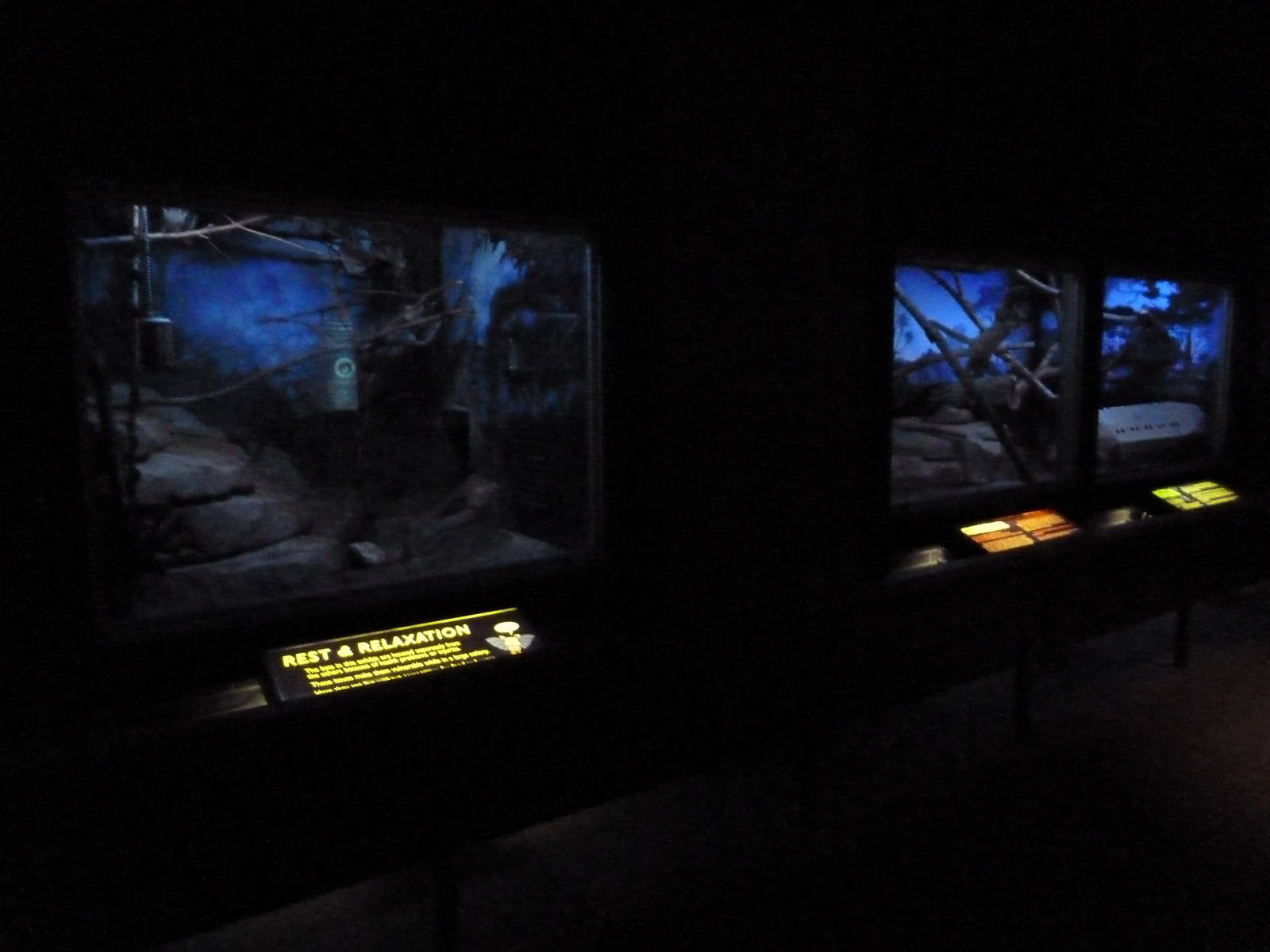 Small Mammals House - Nocturnal Section