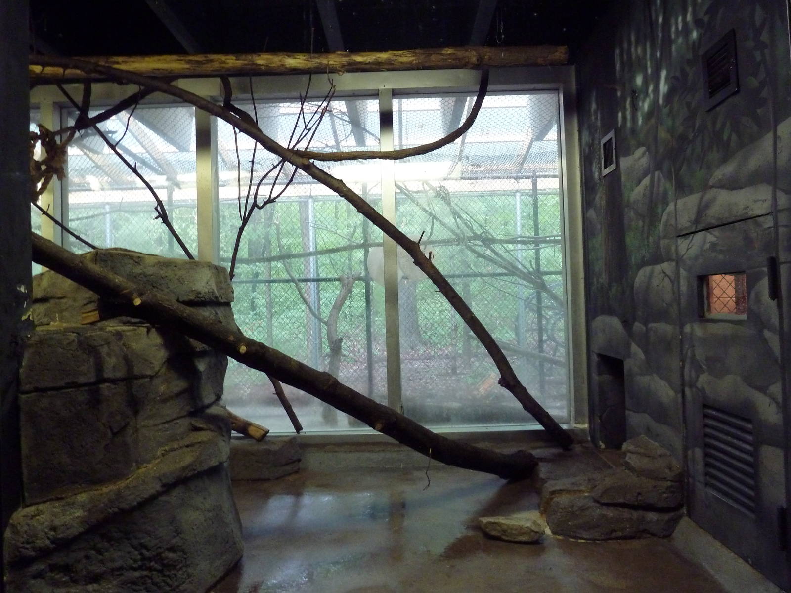 Small Mammals House - Ring-Tailed Lemur Exhibit
