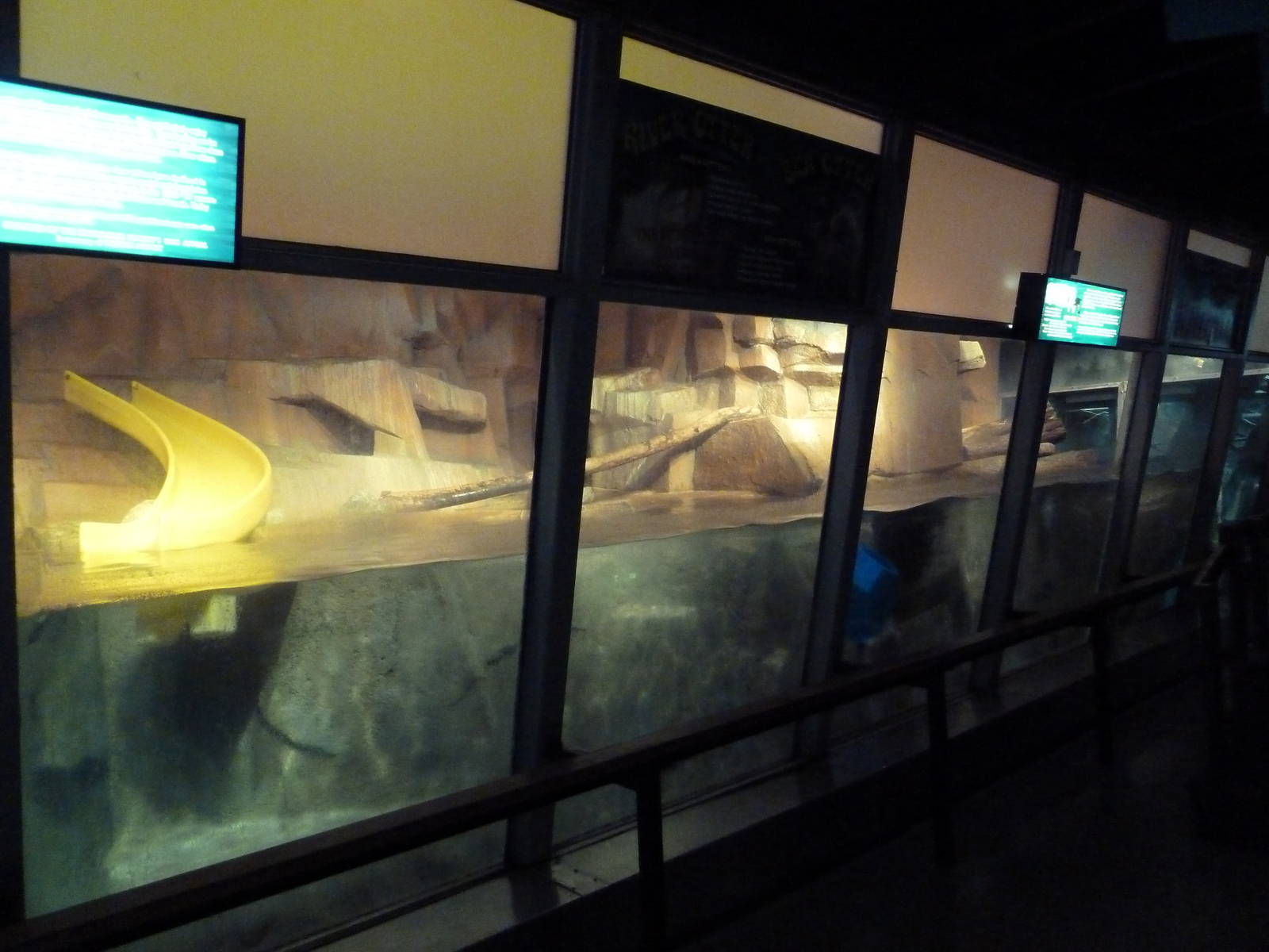 Small Mammals House - River Otter Exhibit