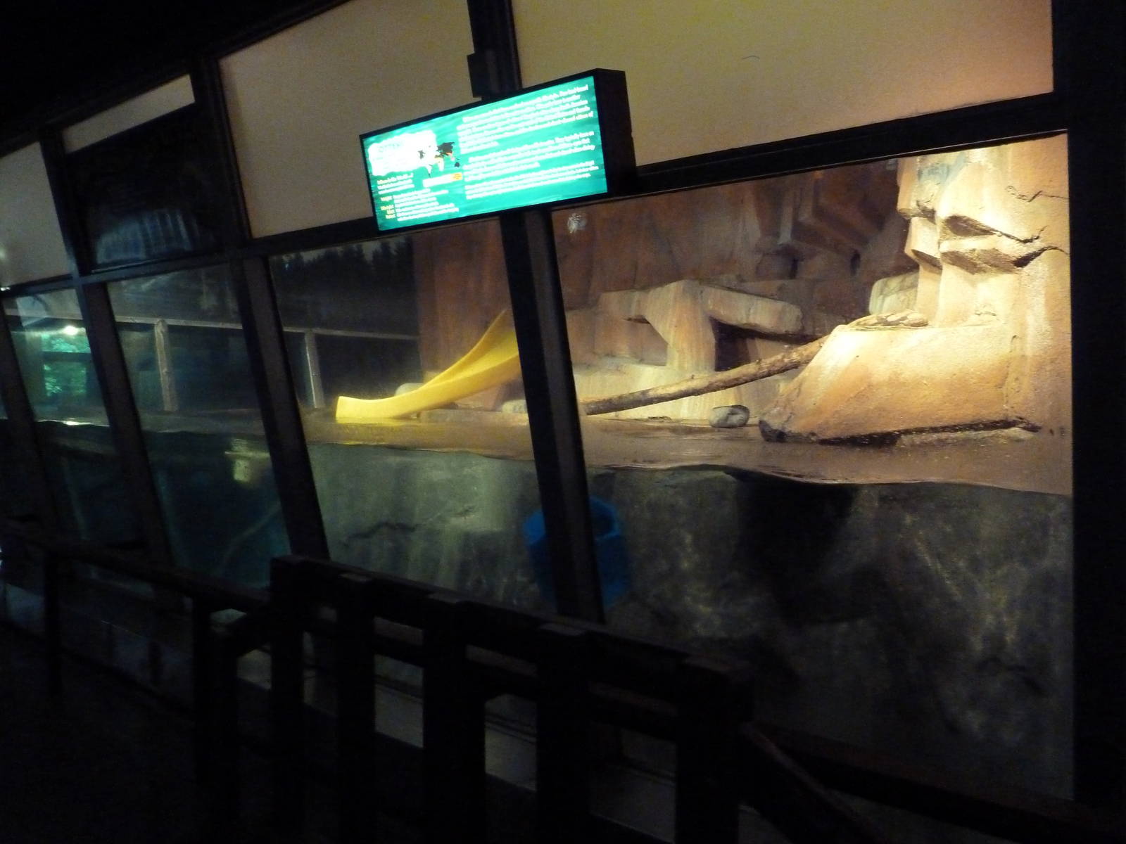 Small Mammals House - River Otter Exhibit