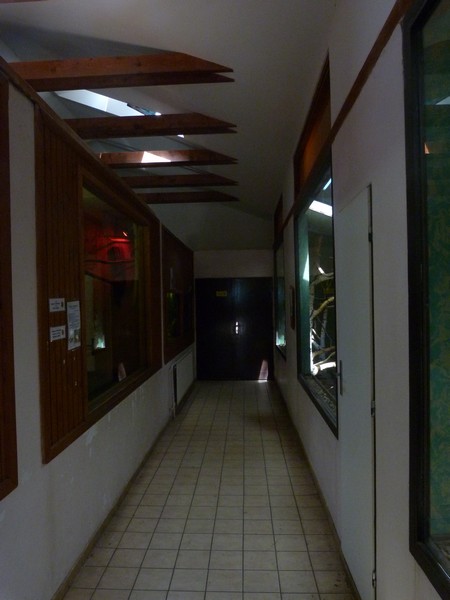 Small mammals indoor enclosures