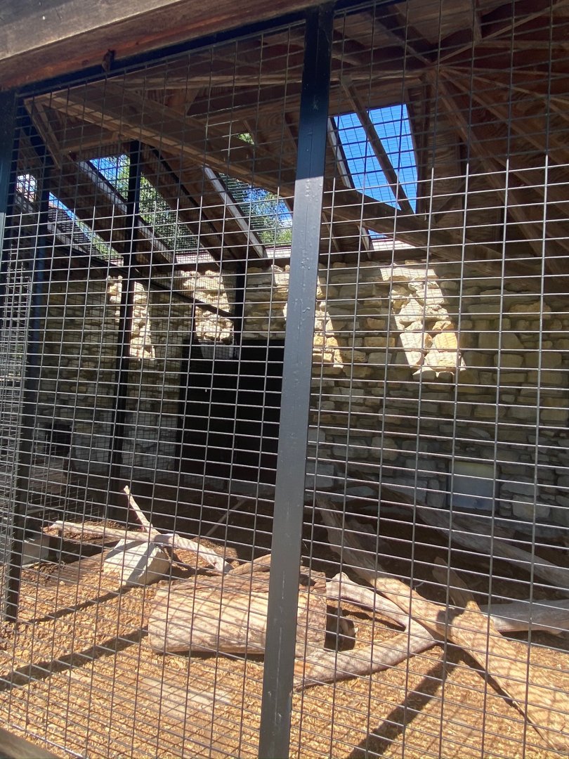 Small mammals- red fox exhibit