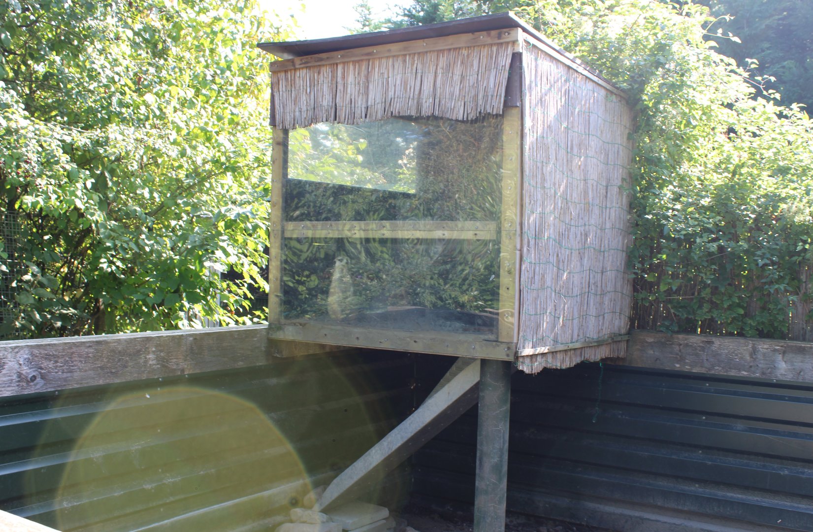 Small Meerkat-shelter