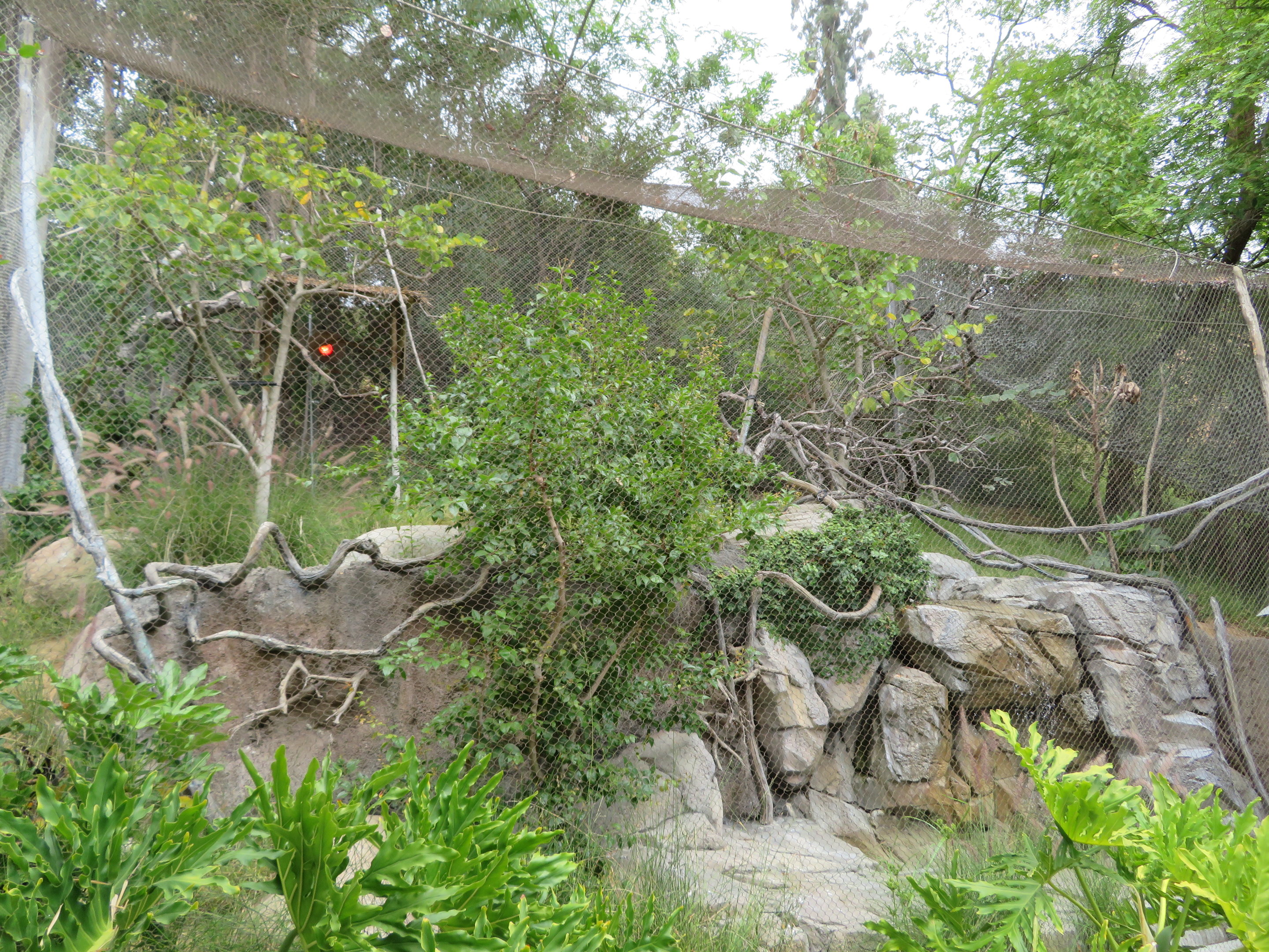 Small Mixed Bird Aviary