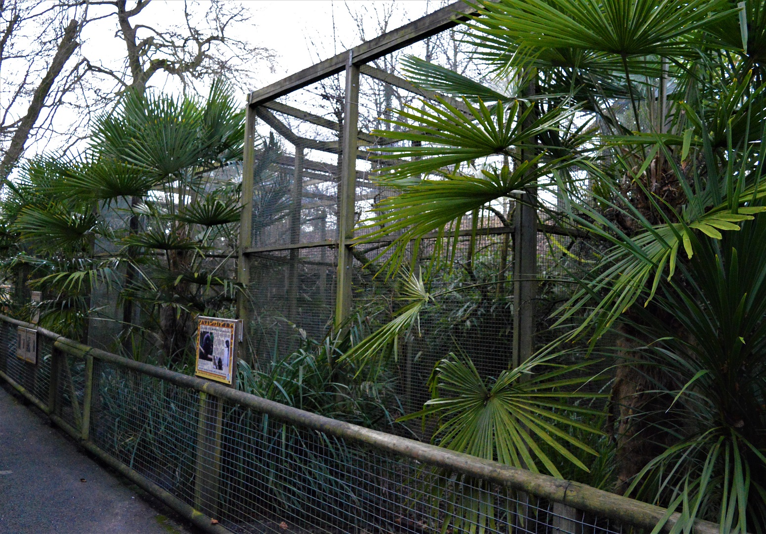 Small monkey and lemur enclosures