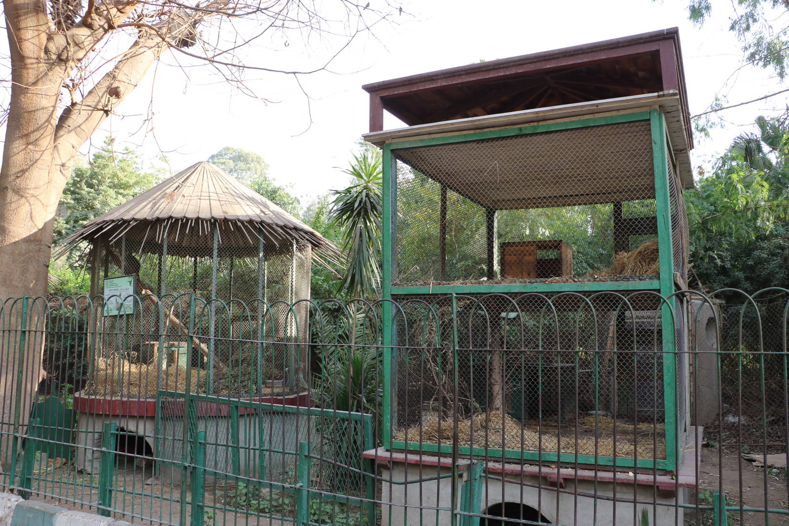 Small monkey cages, February 2016