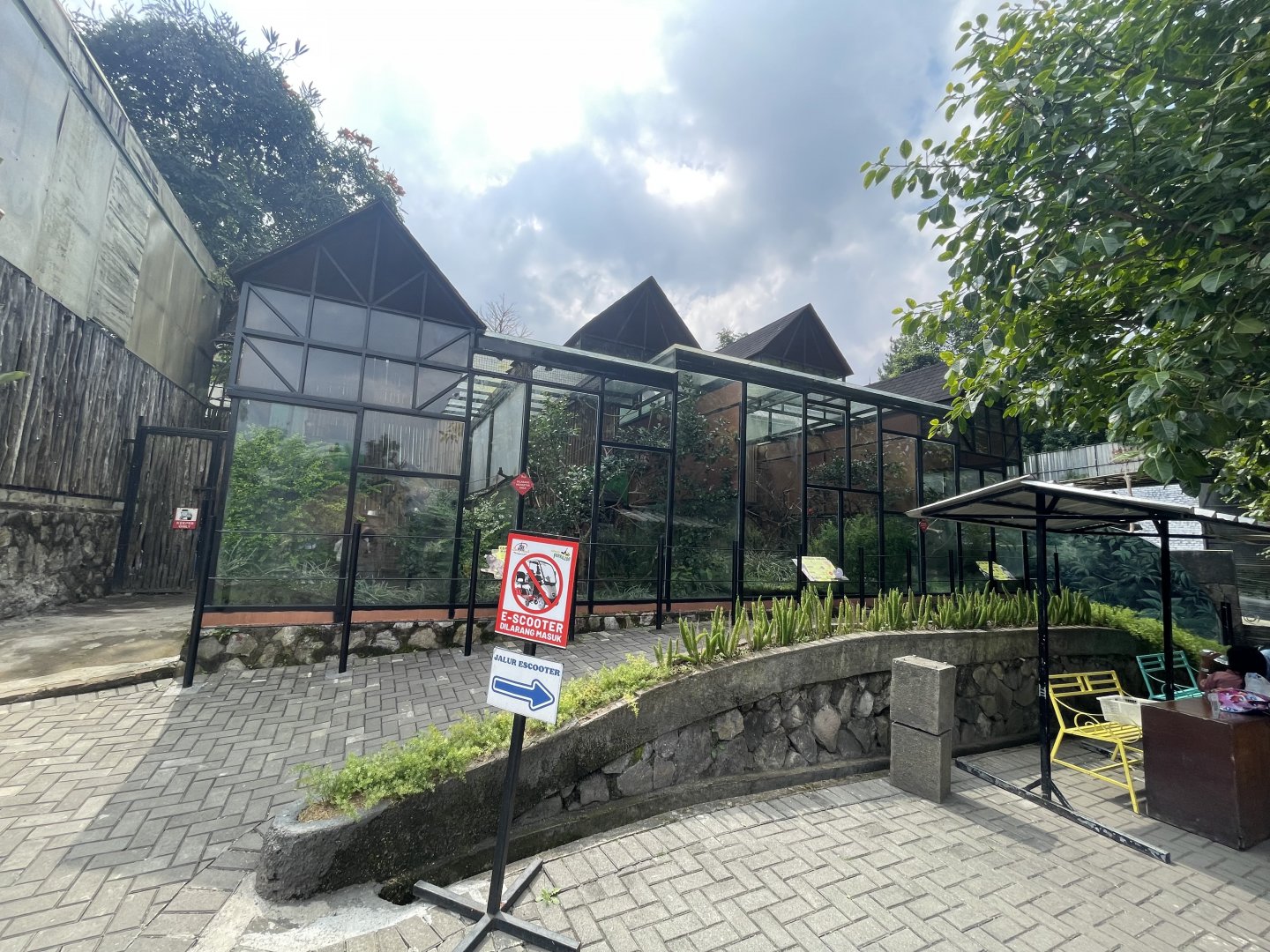 small monkey complex