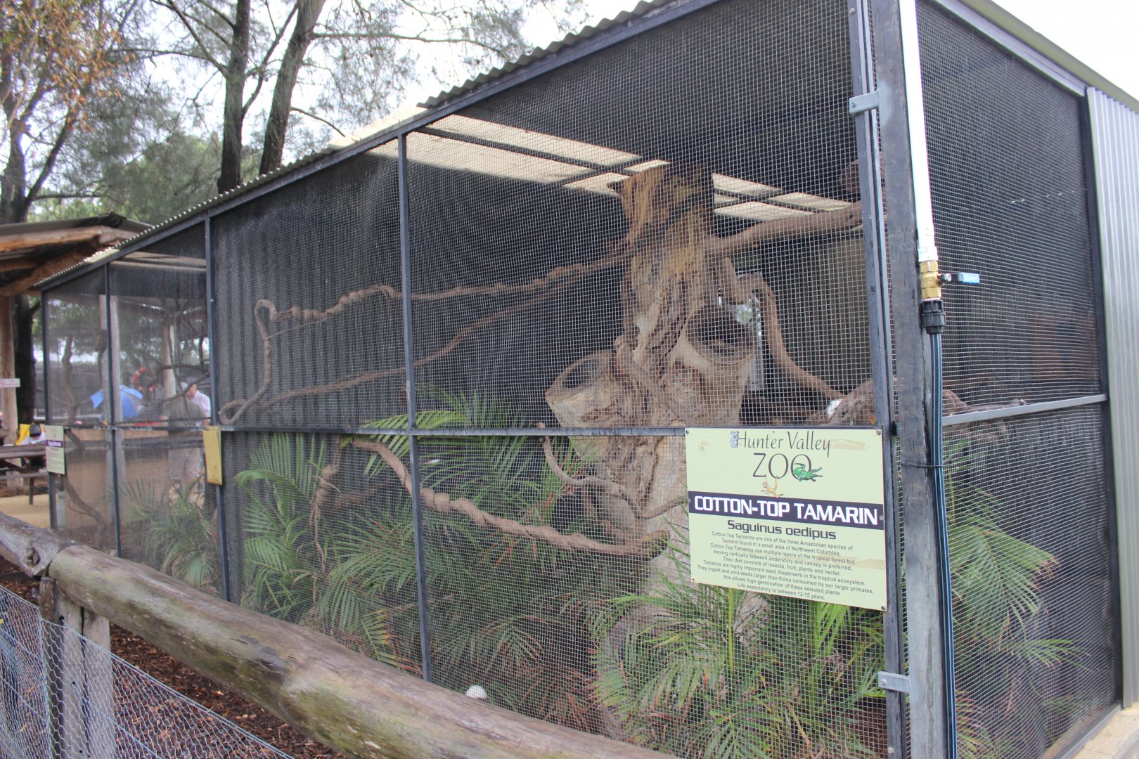 Small monkey enclosures