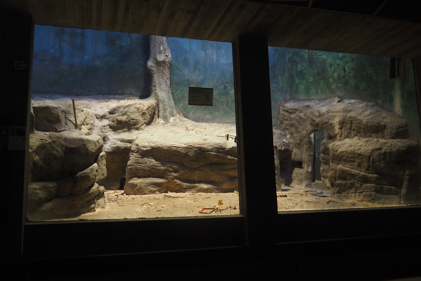 Small monkey house - Callitrichid exhibit being renovated, 2025-11-30