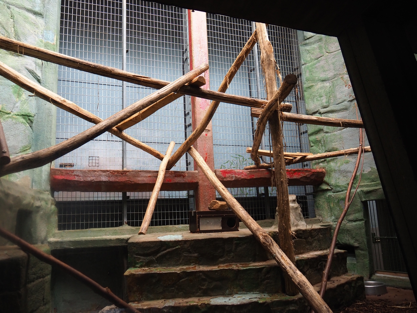 Small Monkey House - Callitrichid/Southern tamandua enclosure