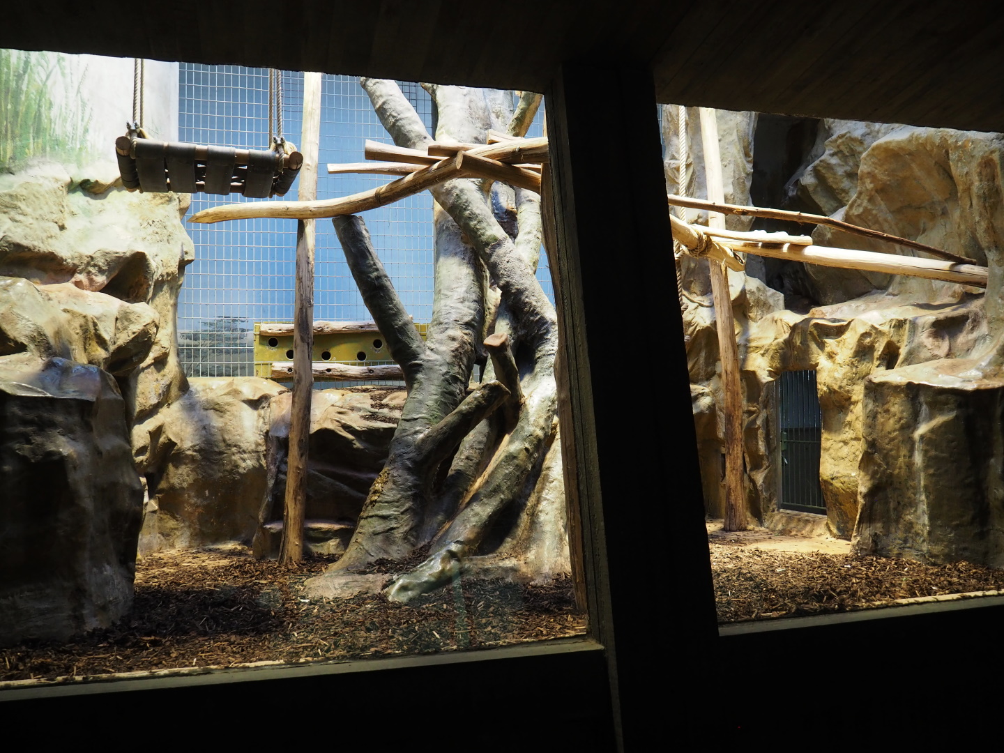 Small monkey house - First part of the Hamlyn's monkey exhibit, 2021-06-12