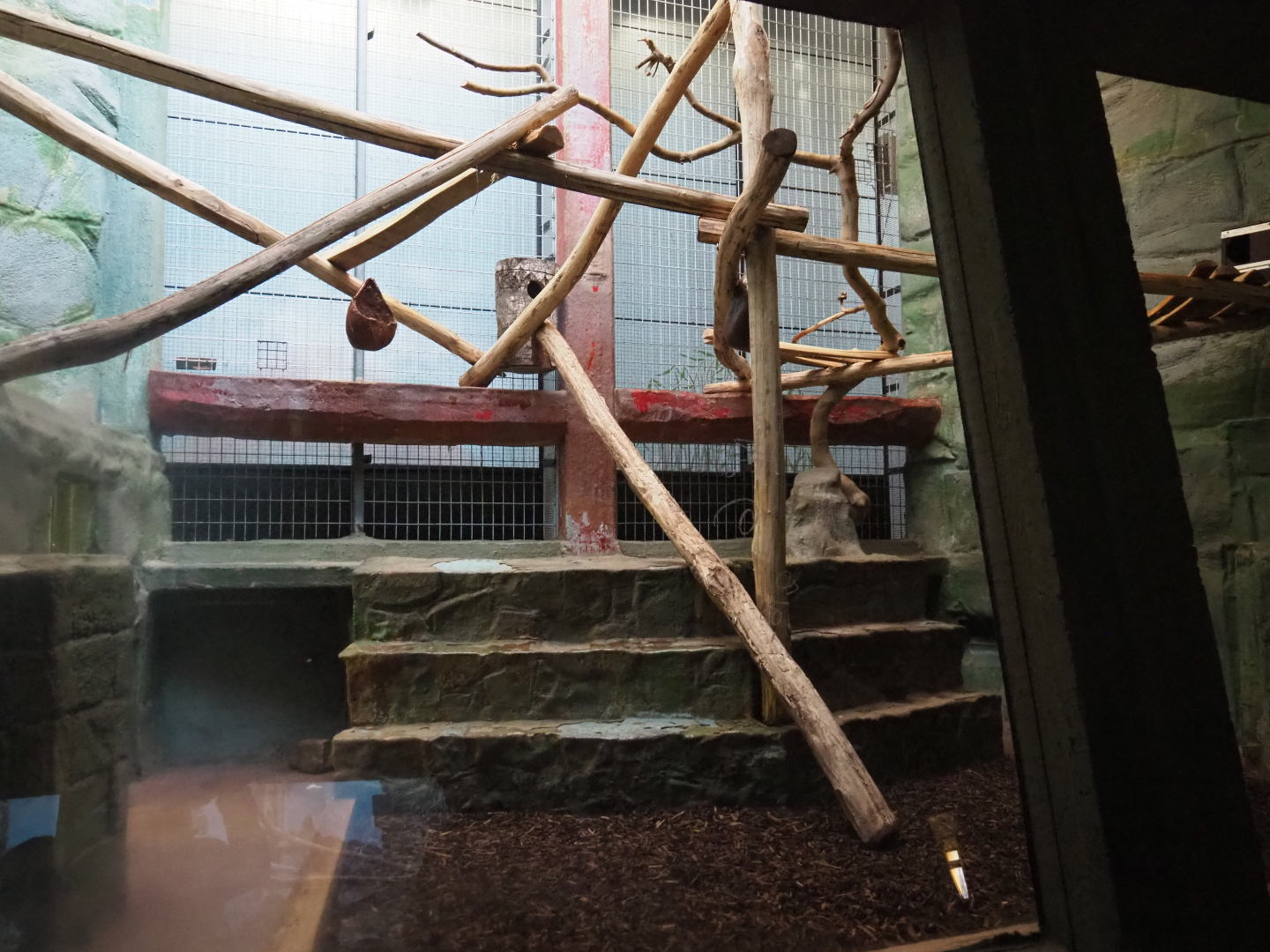 Small monkey house - Golden-headed lion tamarin and Humboldt's douroucouli exhibit, 2019-12-30
