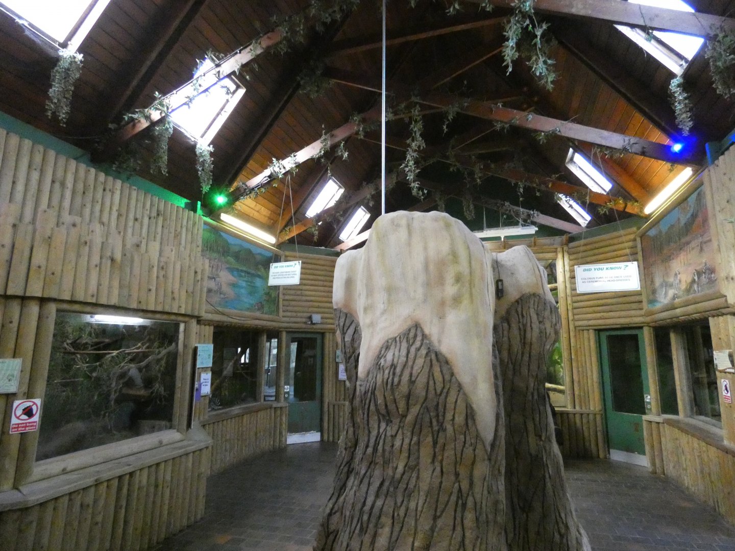 Small monkey house interior