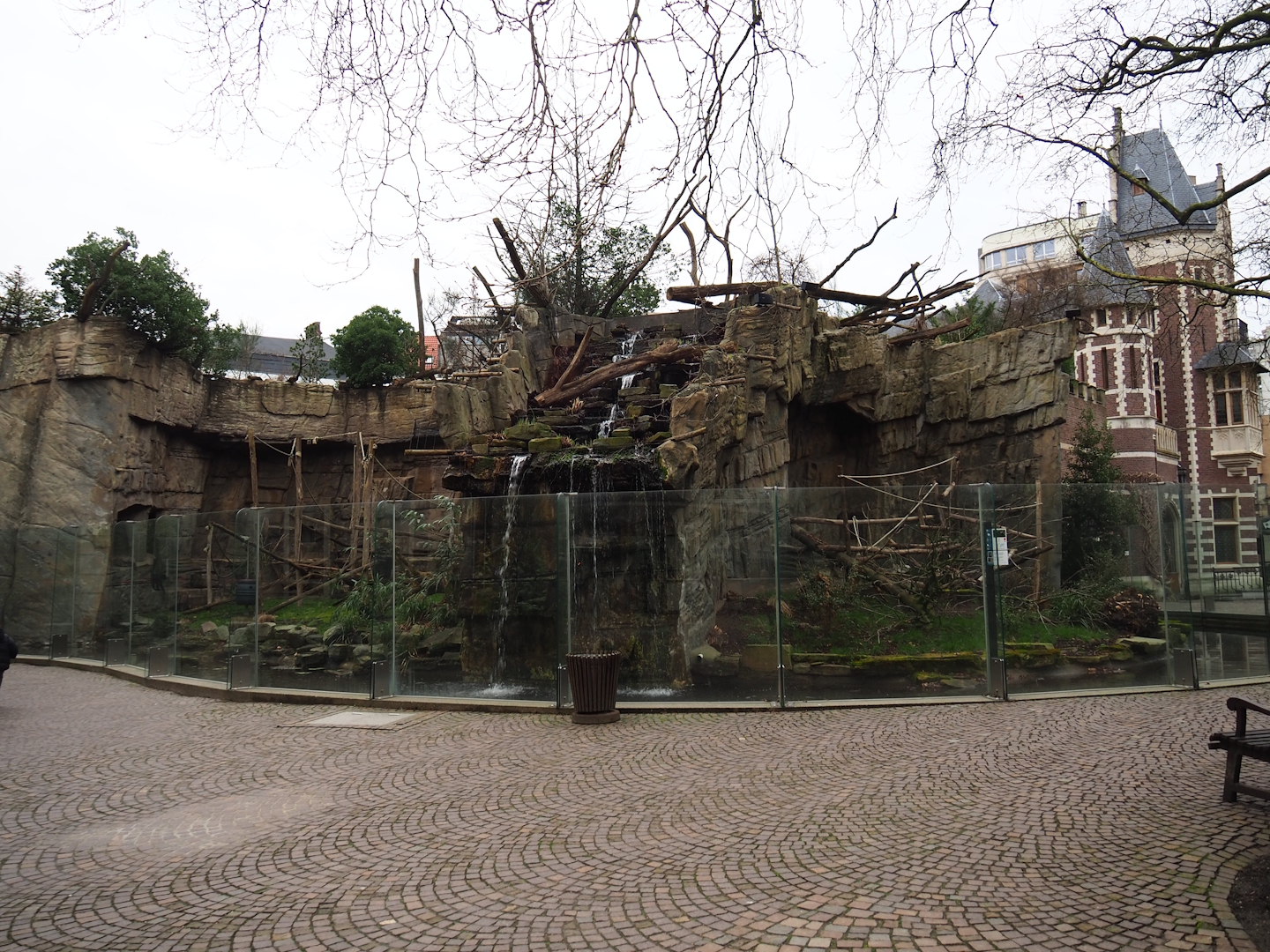 Small Monkey House - Mandrill and Colombian black spider monkey outdoor exhibits, 2024-02-17