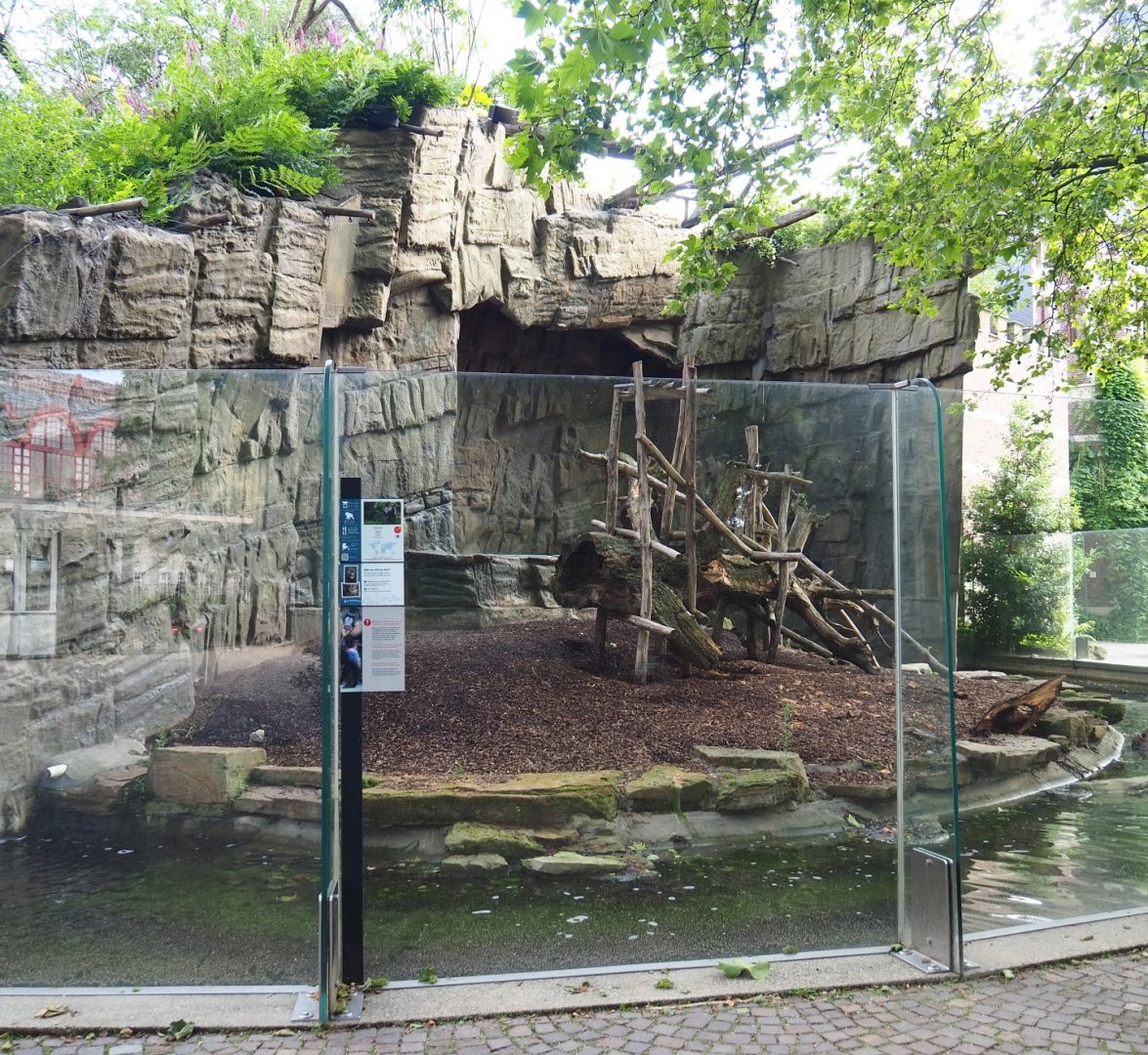 Small monkey house - Mandrill outdoor exhibit, 2021-07-17