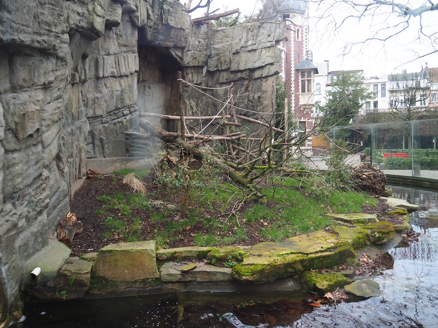 Small Monkey House - Mandrill outdoor exhibit, 2024-02-17