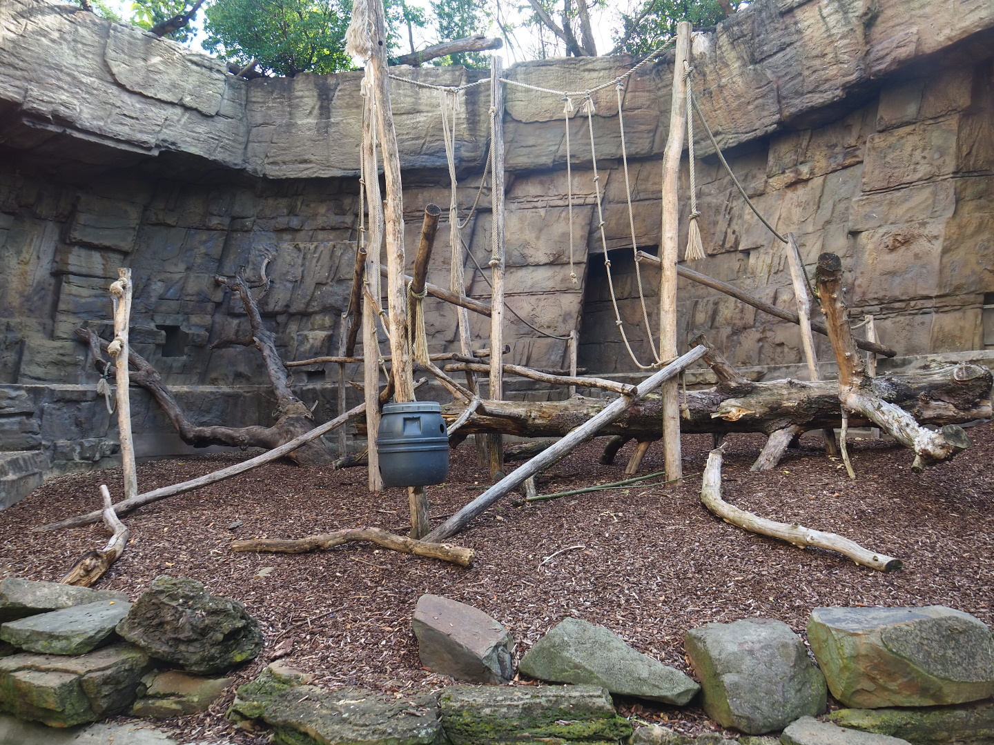 Small monkey house - Outdoor grotto for Colombian black spider monkeys, 2021-07-17