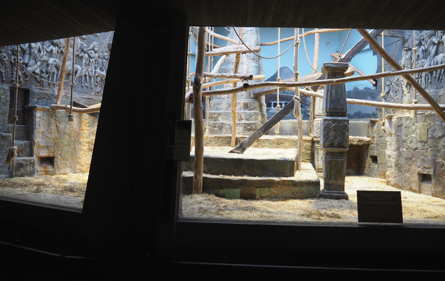 Small monkey house - Second Colombian black spider monkey indoor exhibit, 2021-06-12