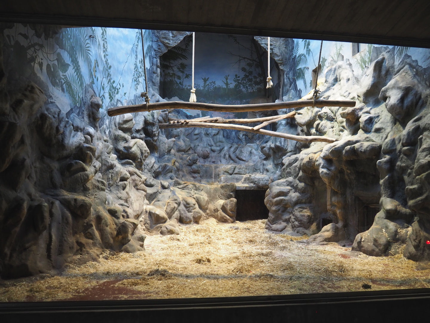Small monkey house - Second Mandrill indoor exhibit, 2021-06-12