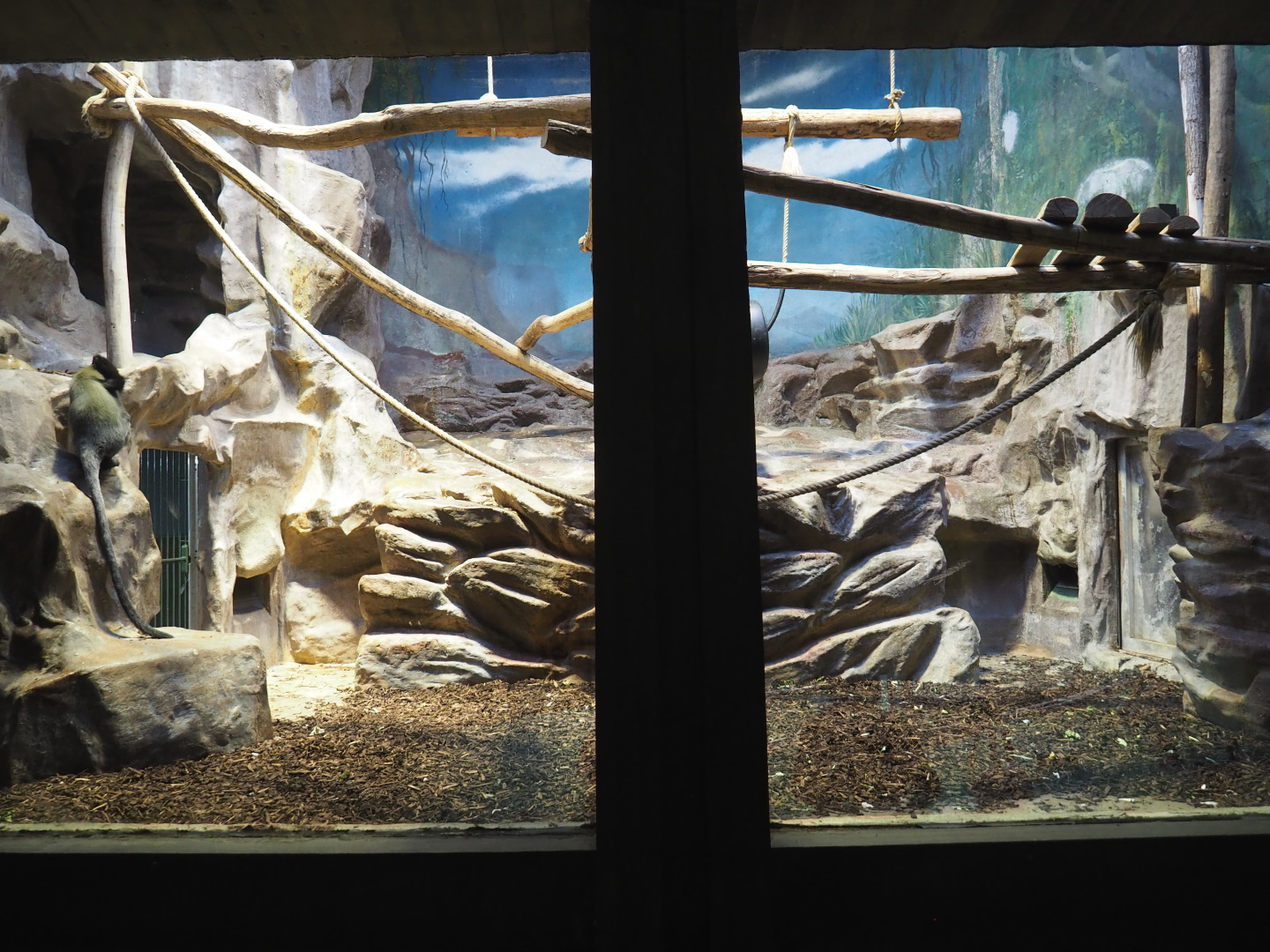 Small monkey house - Second part of the Hamlyn's monkey exhibit, 2021-06-12