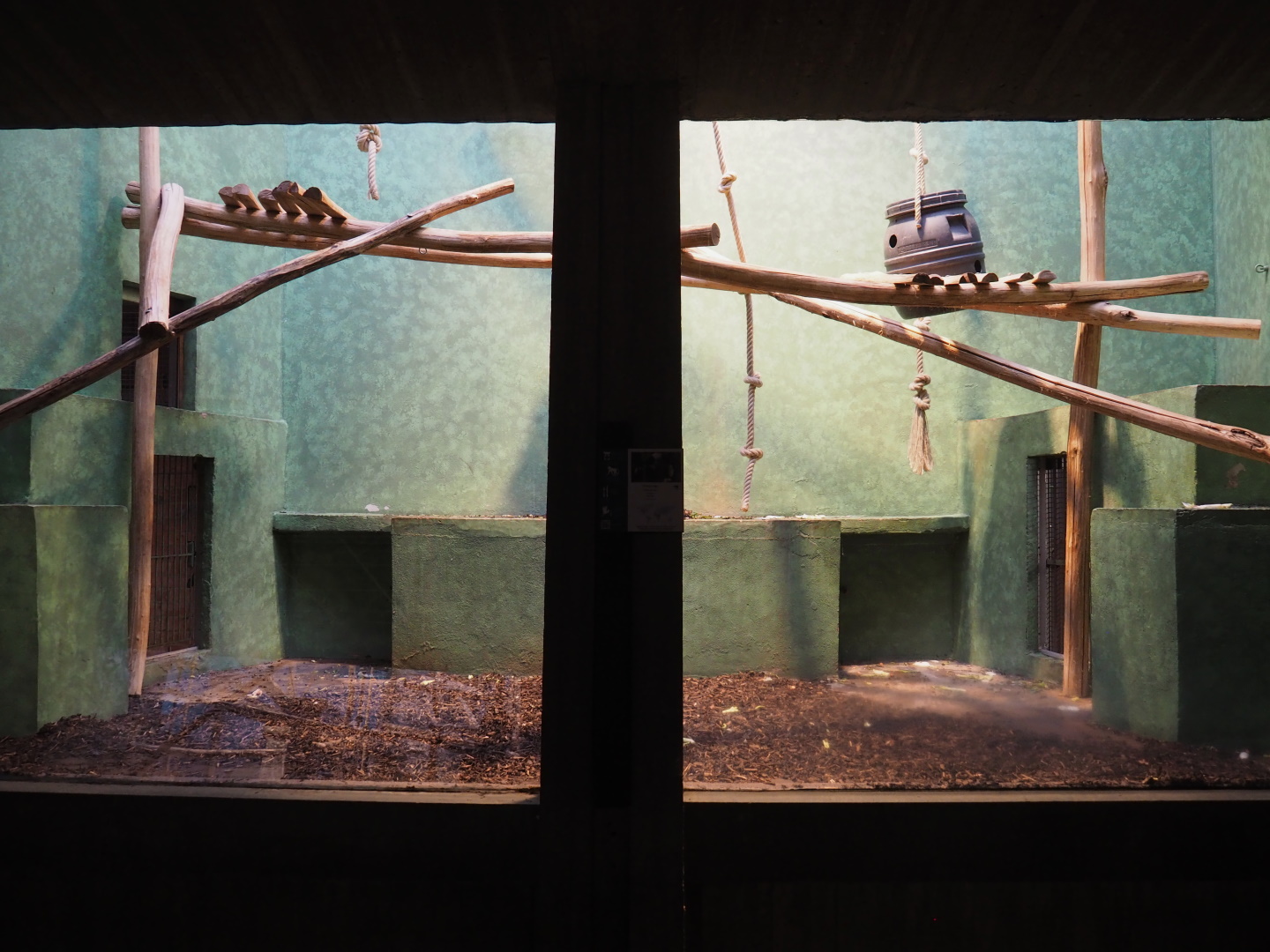 Small monkey house - Second part of the Mantled colobus exhibit, 2021-06-12