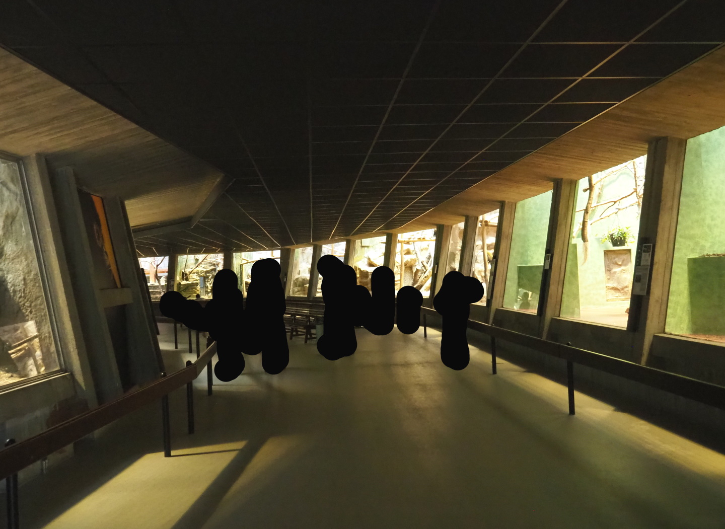 Small monkey house - View of the visitor area, 2021-06-12