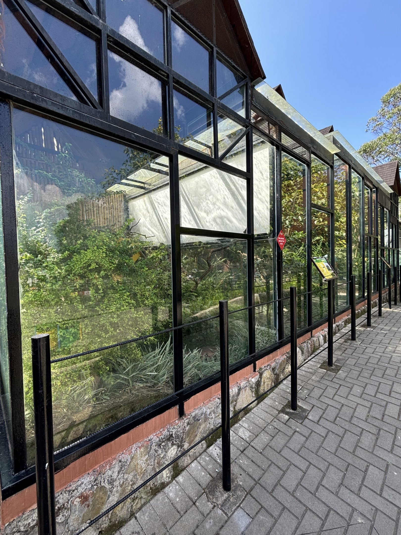 Small Monkey Row (3 species)