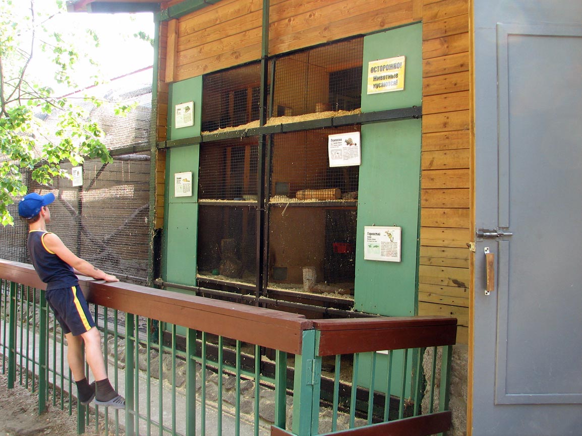 Small mustelids cages