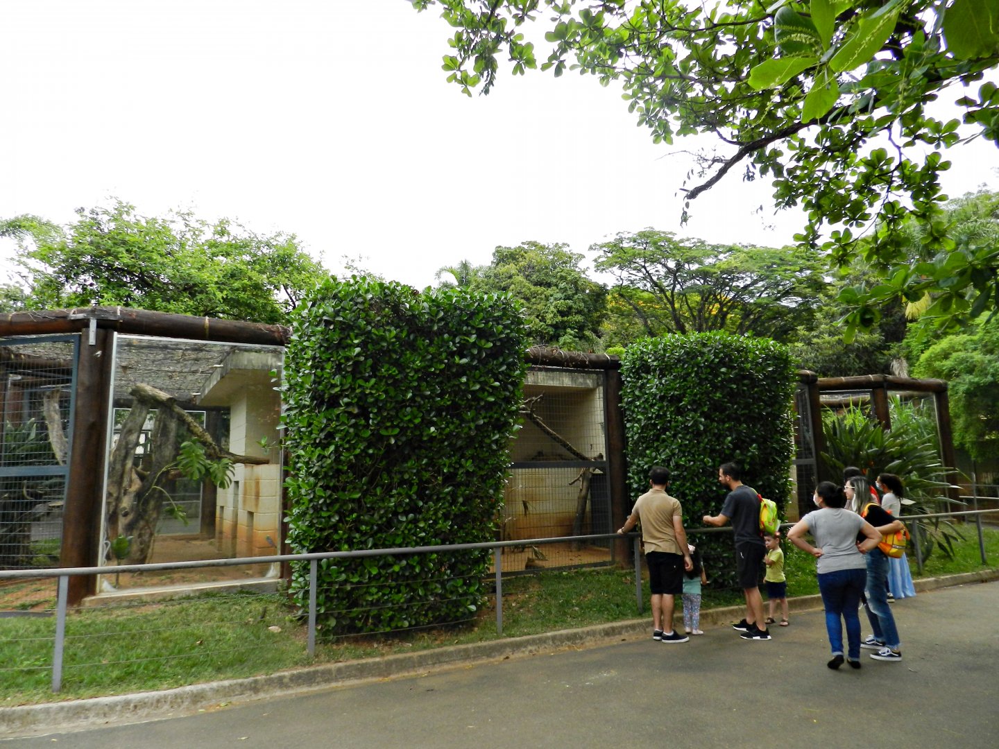Small native mammals exhibits - Sorocaba zoo (PZMQB)