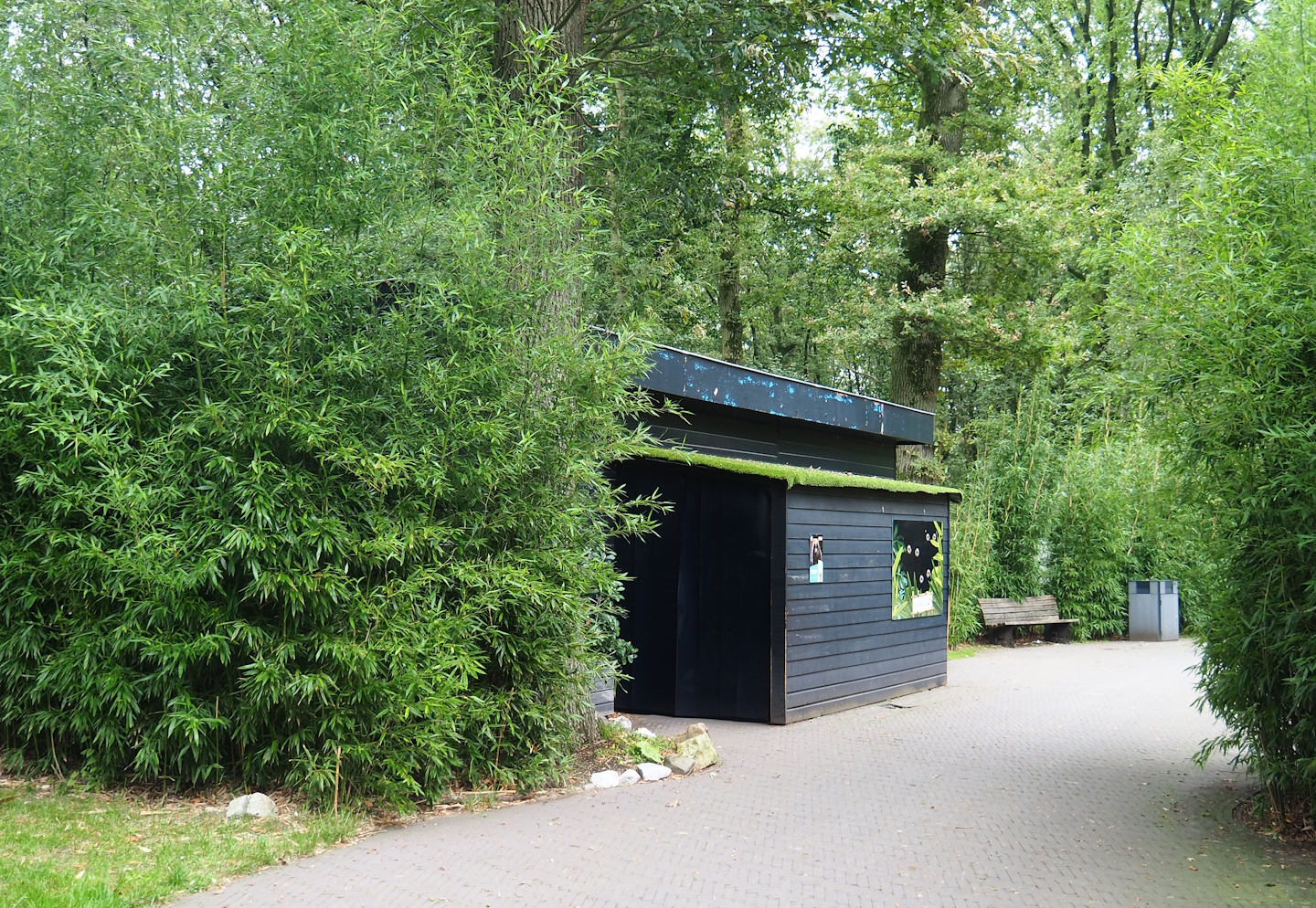 Small nocturnal house, 2023-08-17