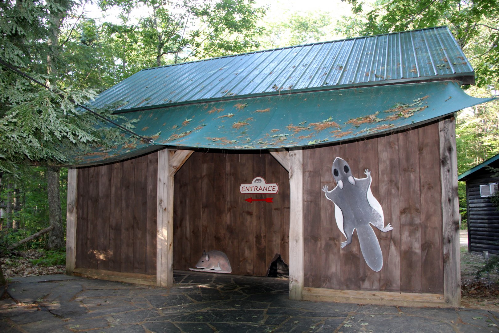 Small Nocturnal Mammals Building