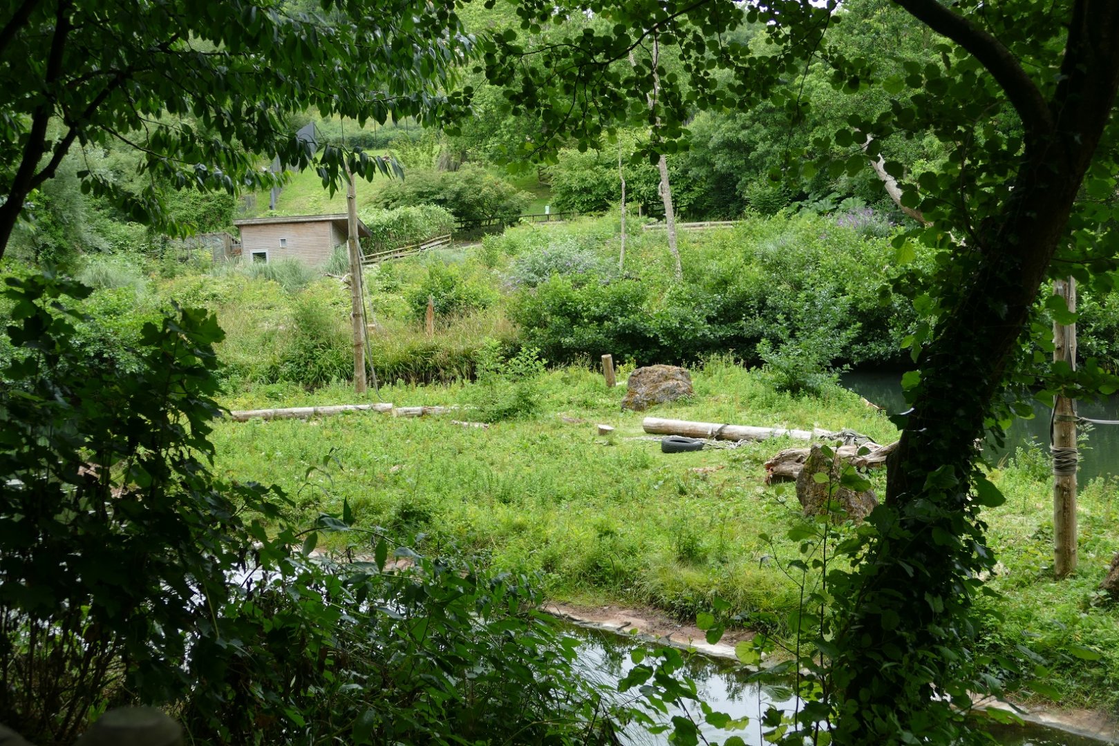 Small orangutan island, 9 July 2020